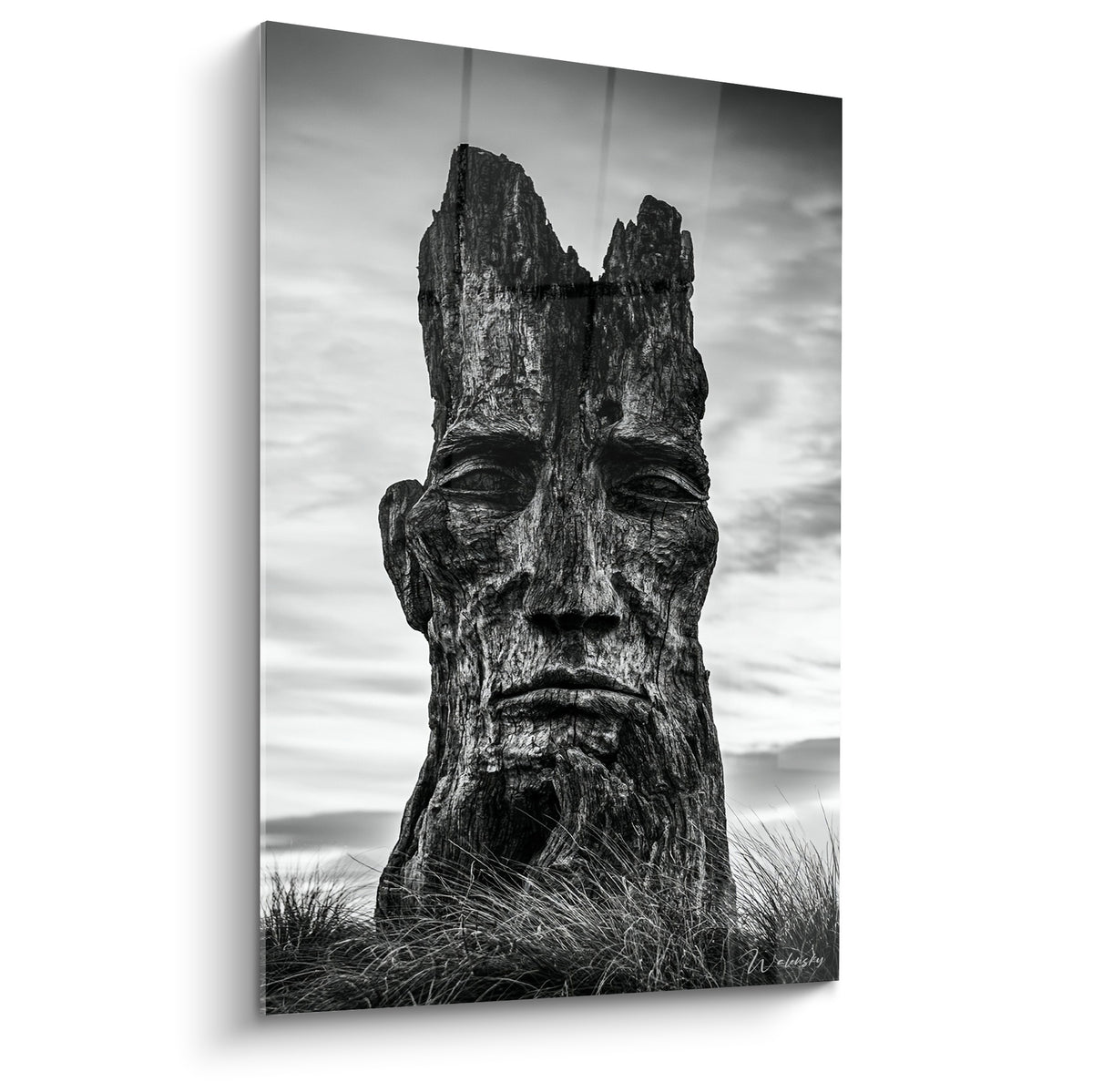 Visage sculpté noir dans un tronc gris, expression grave sous un ciel nuageux texturé.