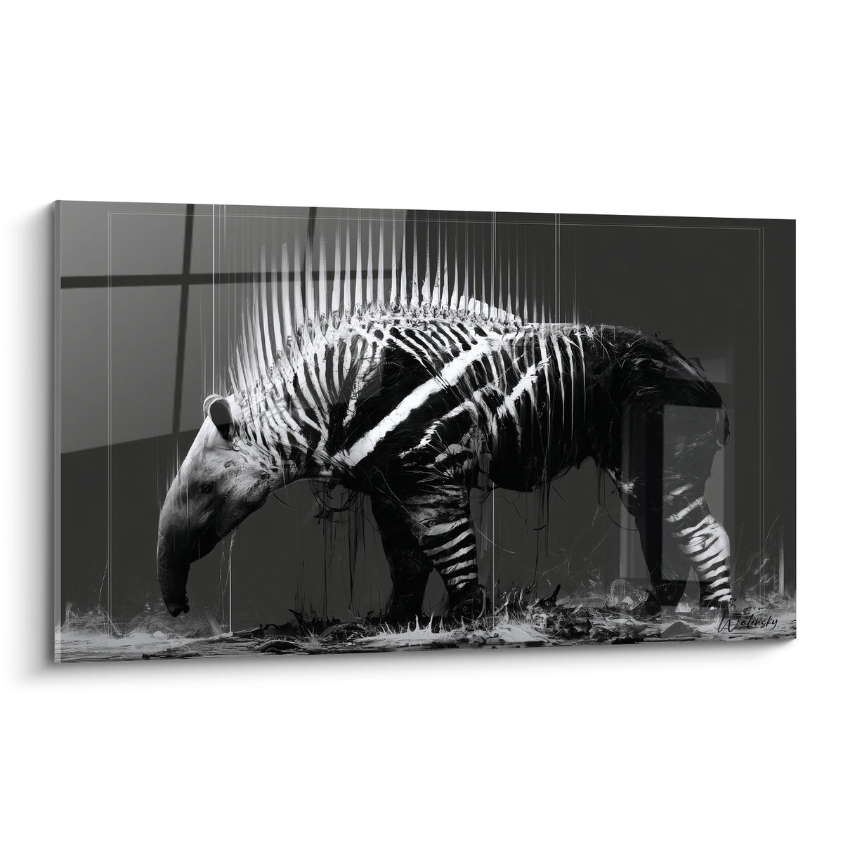Tapir aux rayures noires et blanches marchant, silhouette graphique sur fond anthracite