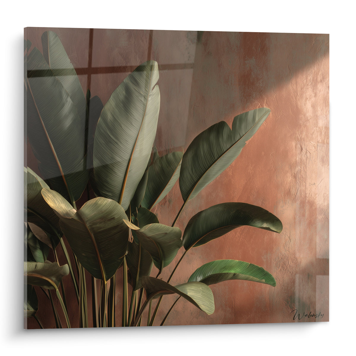 Bananier vert aux larges feuilles devant un mur terracotta et ocre traversé de lumière