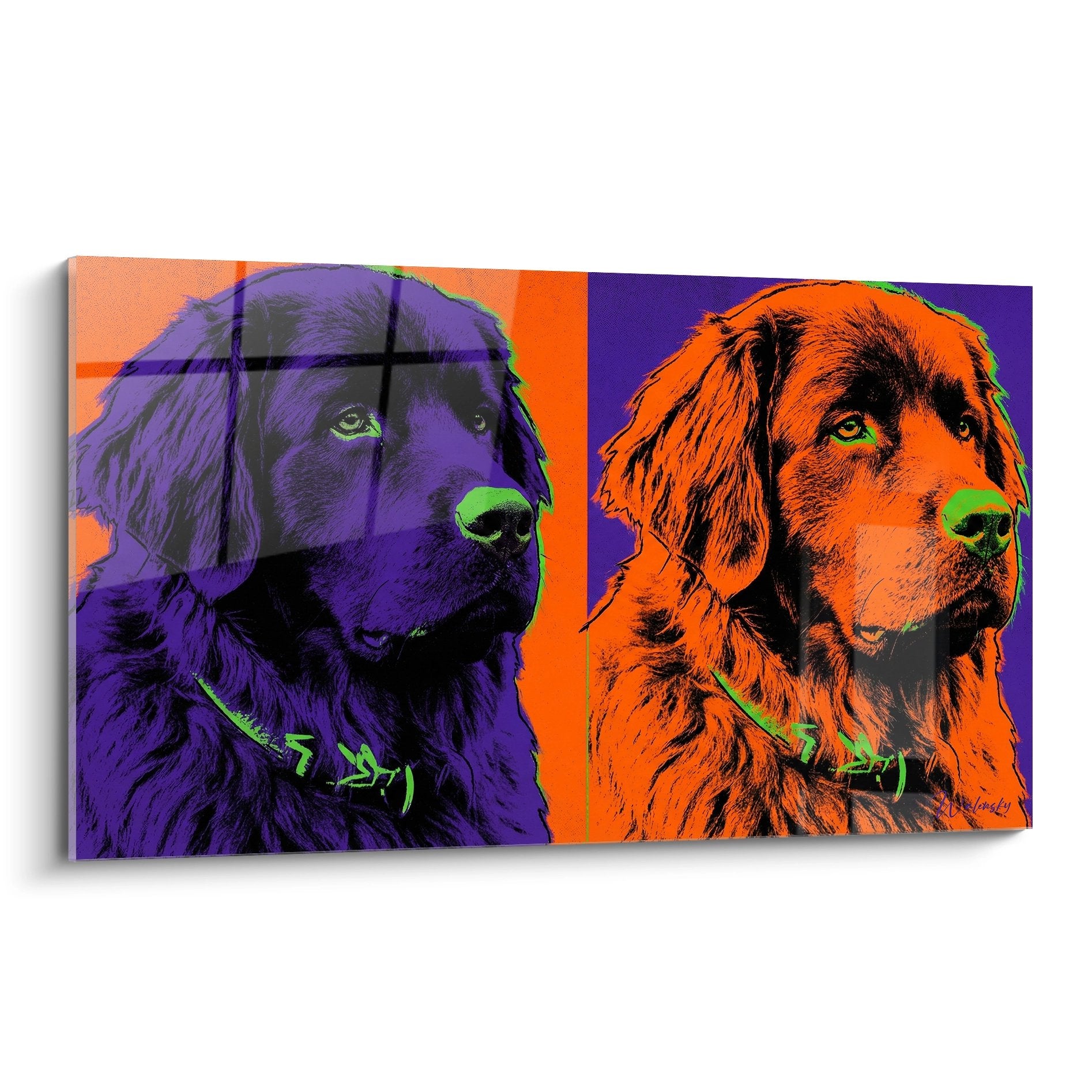 Tableau pop art représentant deux portraits de Terre Neuve aux couleurs vives violet et orange avec colliers verts