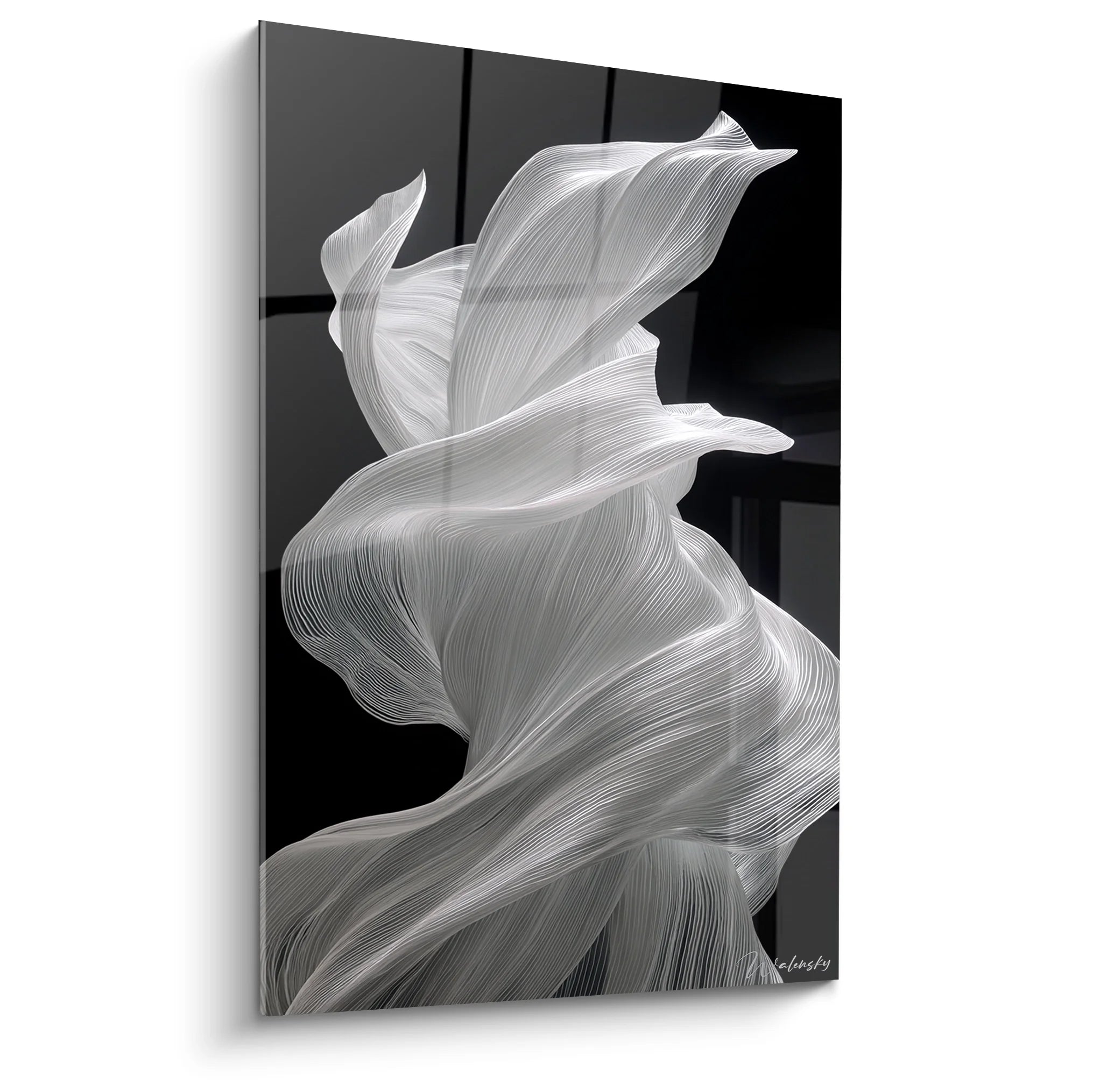 Tableau noir et blanc abstrait représentant un tissu fluide aux mouvements ondulants élégants