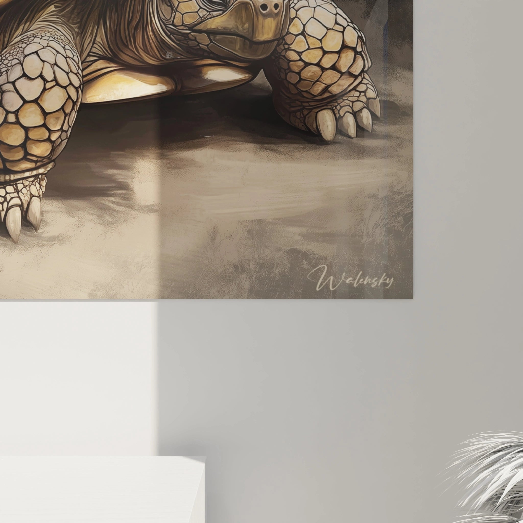 Tableau Walensky illustrant une tortue terrestre détaillée avec carapace et pattes sur fond neutre