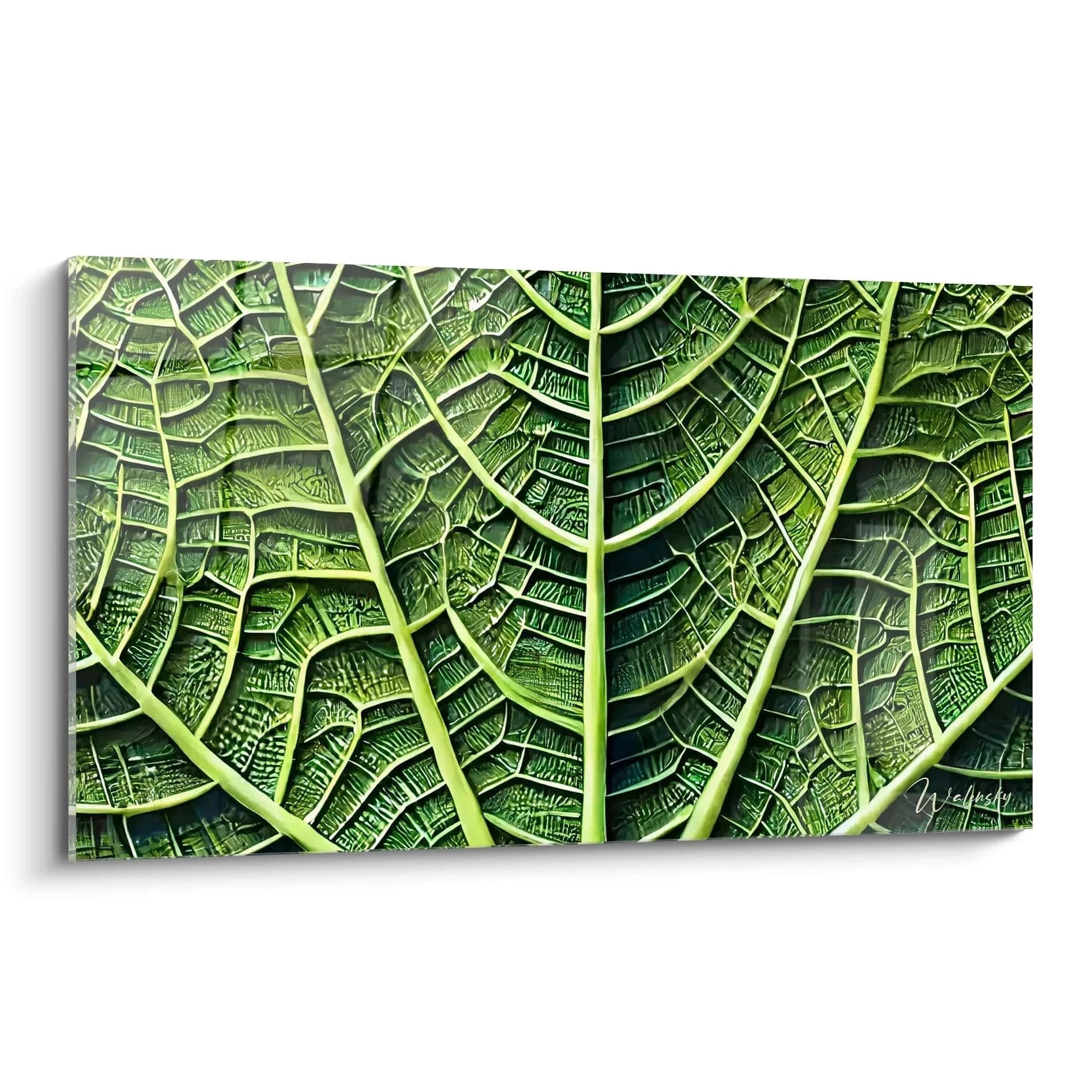 Tableau Nature en verre acrylique de grande taille - Vue principale en biais sur fond blanc - Art mural inspiré par la nature - Décoration intérieure écologique et élégante - Qualité supérieure et impression haute résolution - Tableau géant pour décoration de maison
