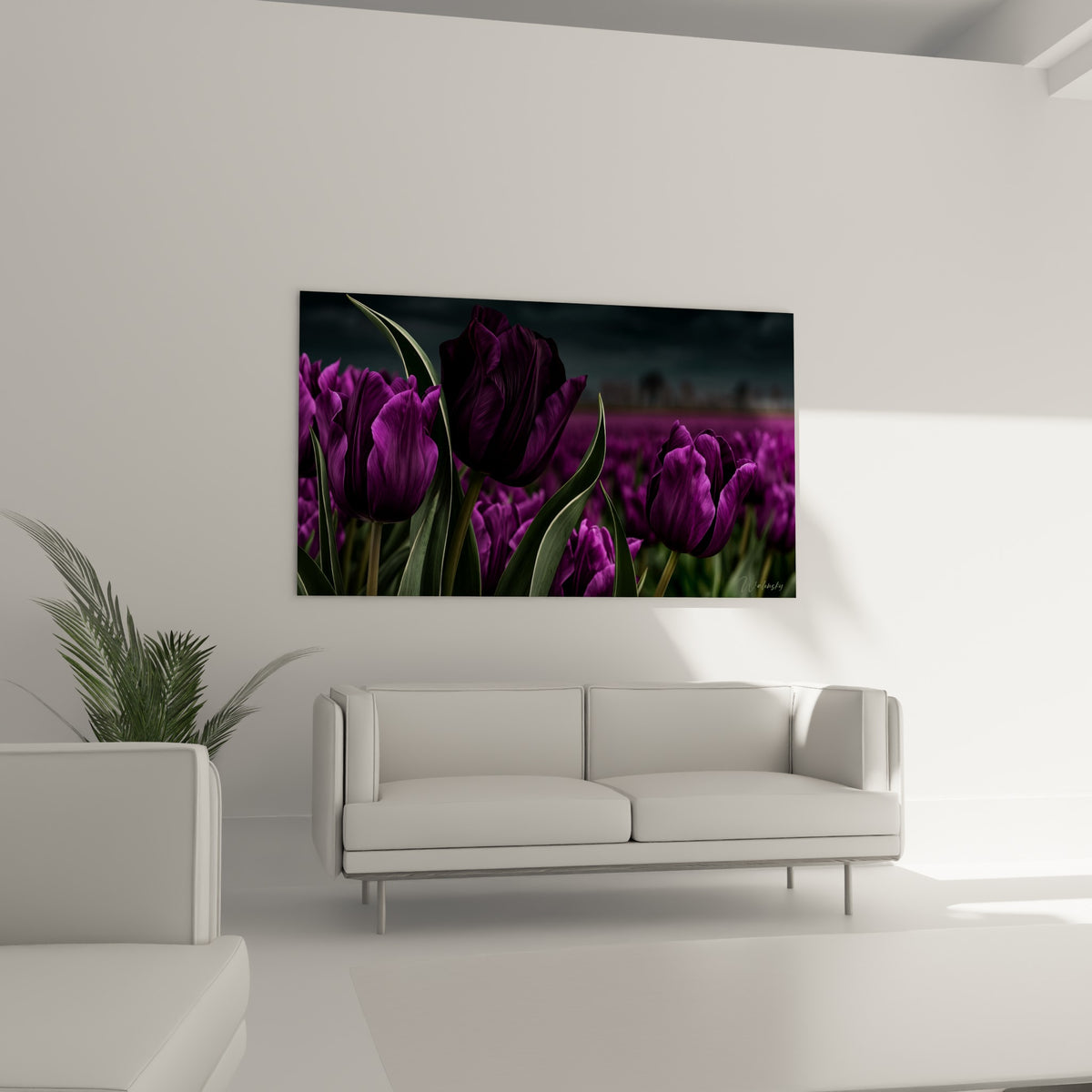 Tulipes violet profond et anthracite au cœur d'un champ dense, au-dessus d'un canapé dans un salon lumineux
