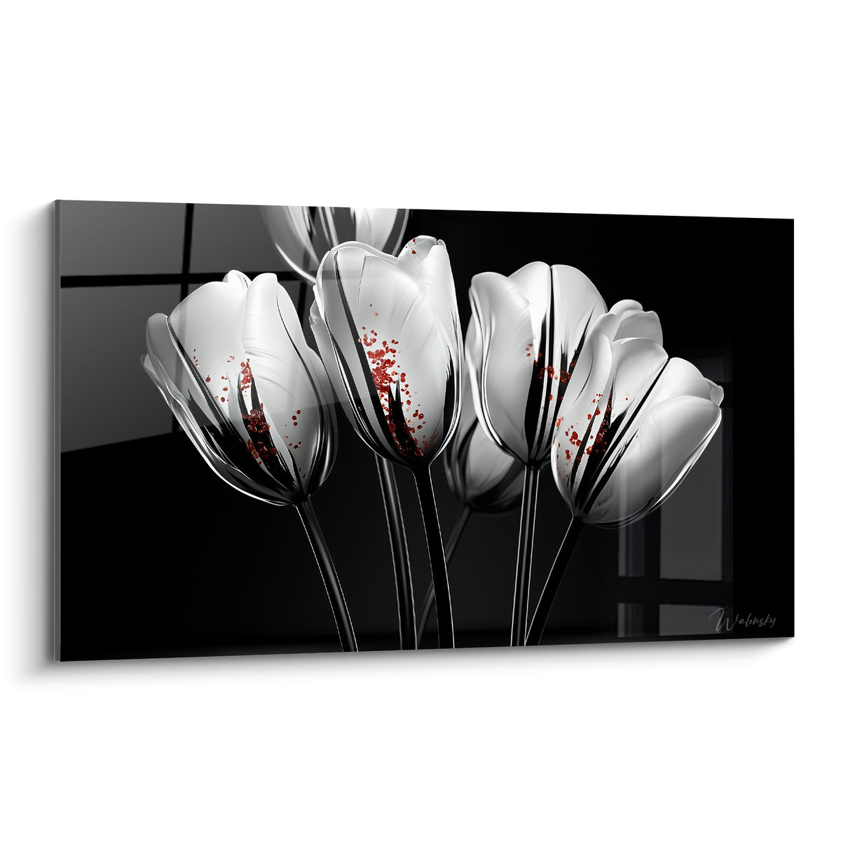 Tulipes blanches aux nervures noires et éclaboussures rouges sur fond anthracite profond