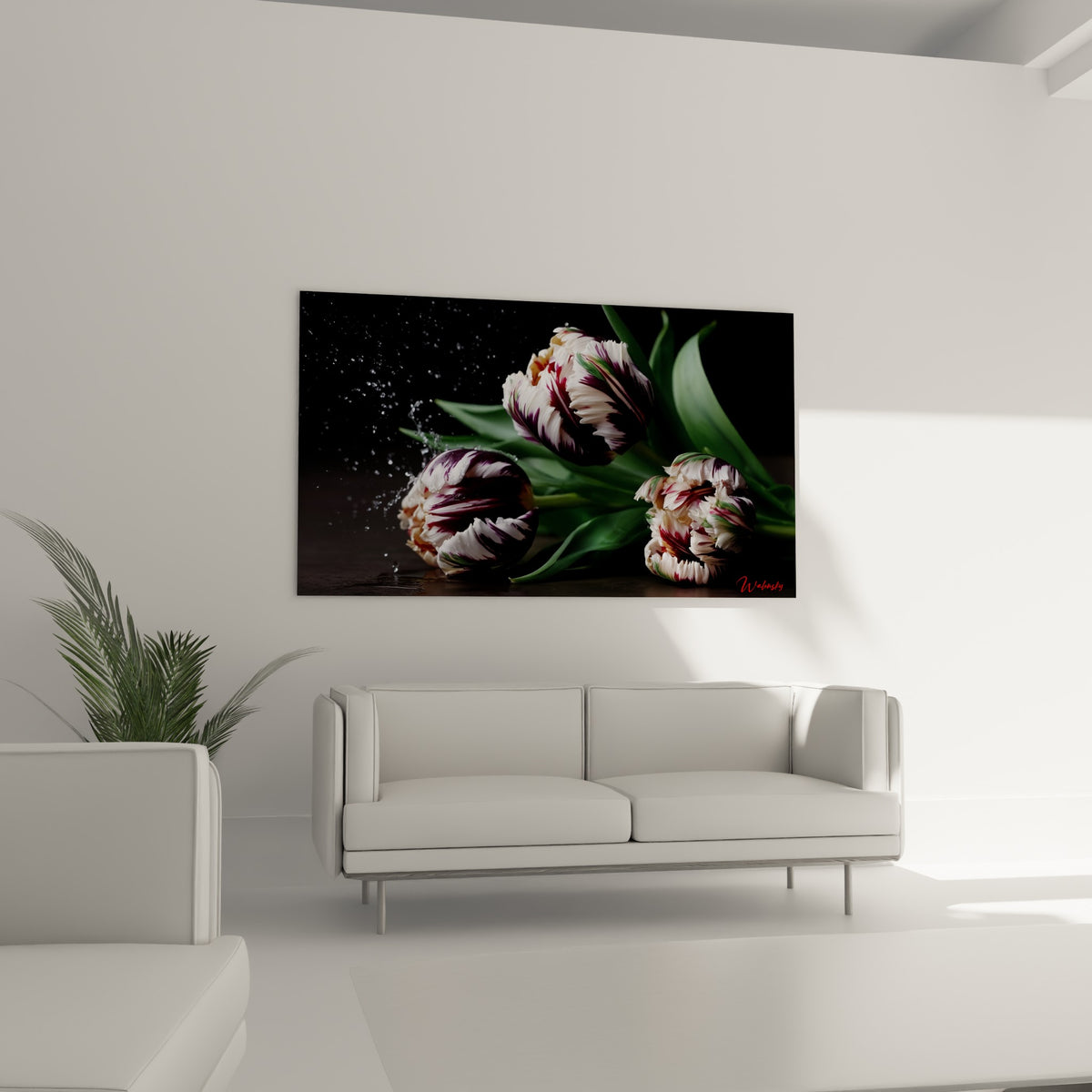 Pétales striés blanc et pourpre avec éclaboussure d'eau figée, au-dessus d'un canapé dans un salon lumineux