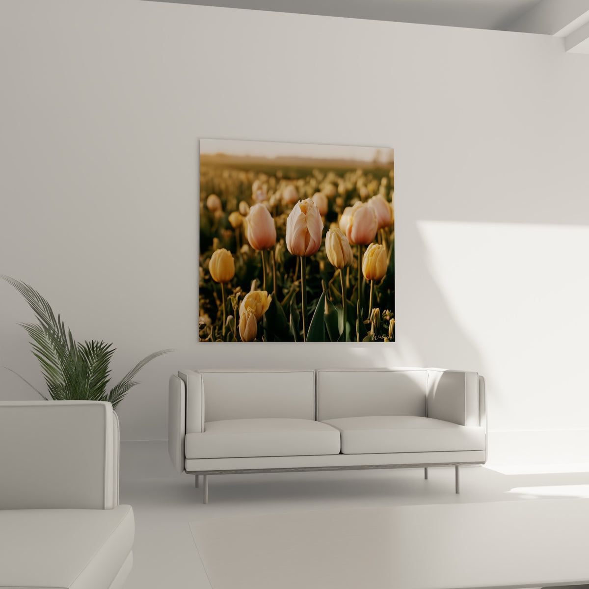 Champ de tulipes roses et pêche aux tiges vertes élancées, disposé au-dessus d'un canapé dans un salon lumineux
