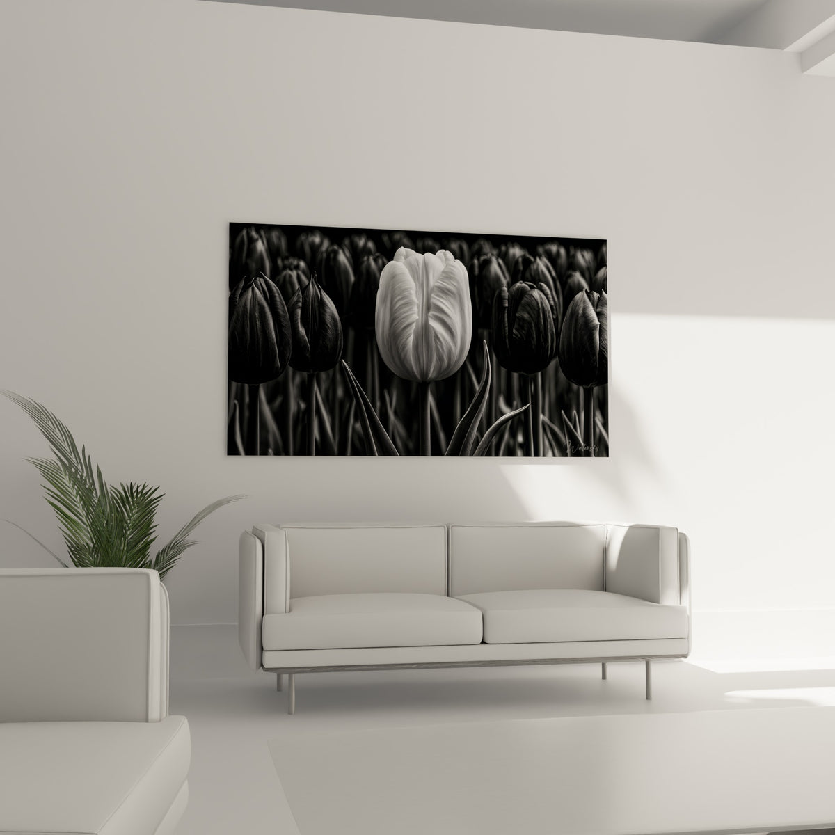Silhouette blanche d'une tulipe se détachant sur fond noir profond, au-dessus d'un canapé dans un salon lumineux