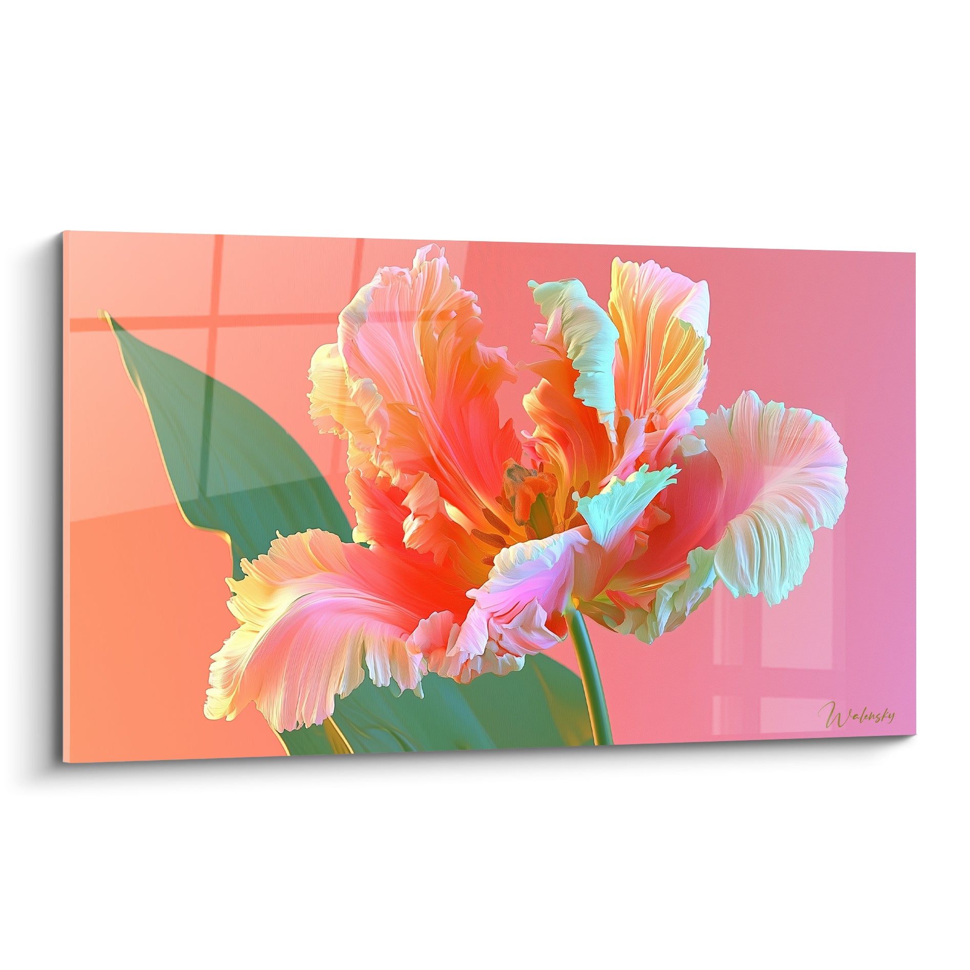 Tulipe perroquet aux pétales corail, jaune pâle et menthe déployés sur fond rose dégradé