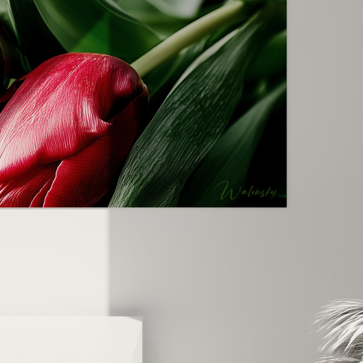 Pétales veloutés bordeaux et blancs de la tulipe révélant le grain de l'impression et les nuances pourpres