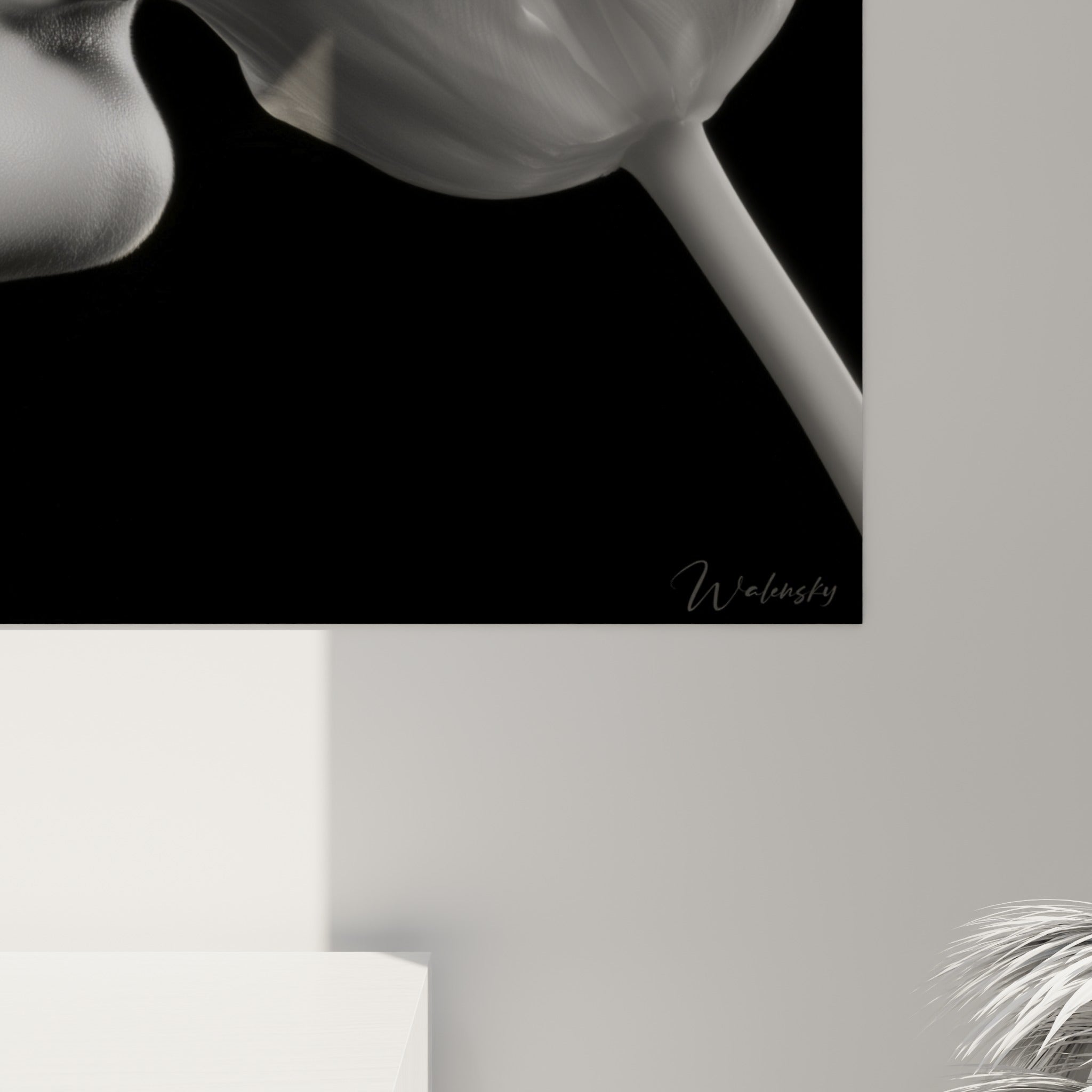 Pétales de tulipe texturés en gris nacré et blanc, grain photographique visible sur la toile accrochée