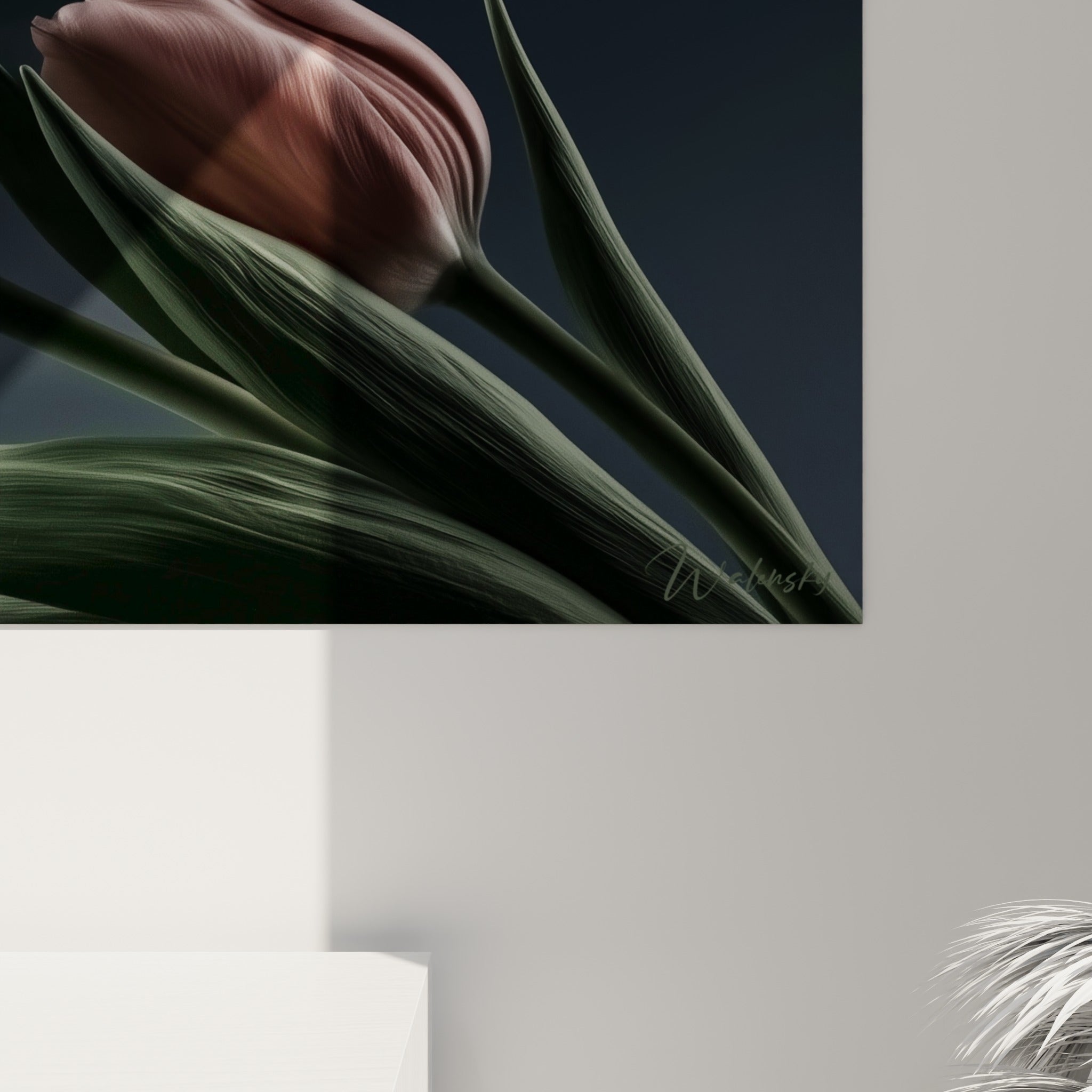 Gros plan sur les pétales roses veinés et le grain velouté des tulipes contre le fond anthracite profond