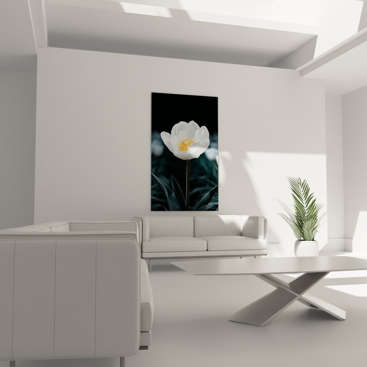 Corolle blanche et tige sombre de la tulipe illuminant un mur au-dessus d'un canapé en salon lumineux