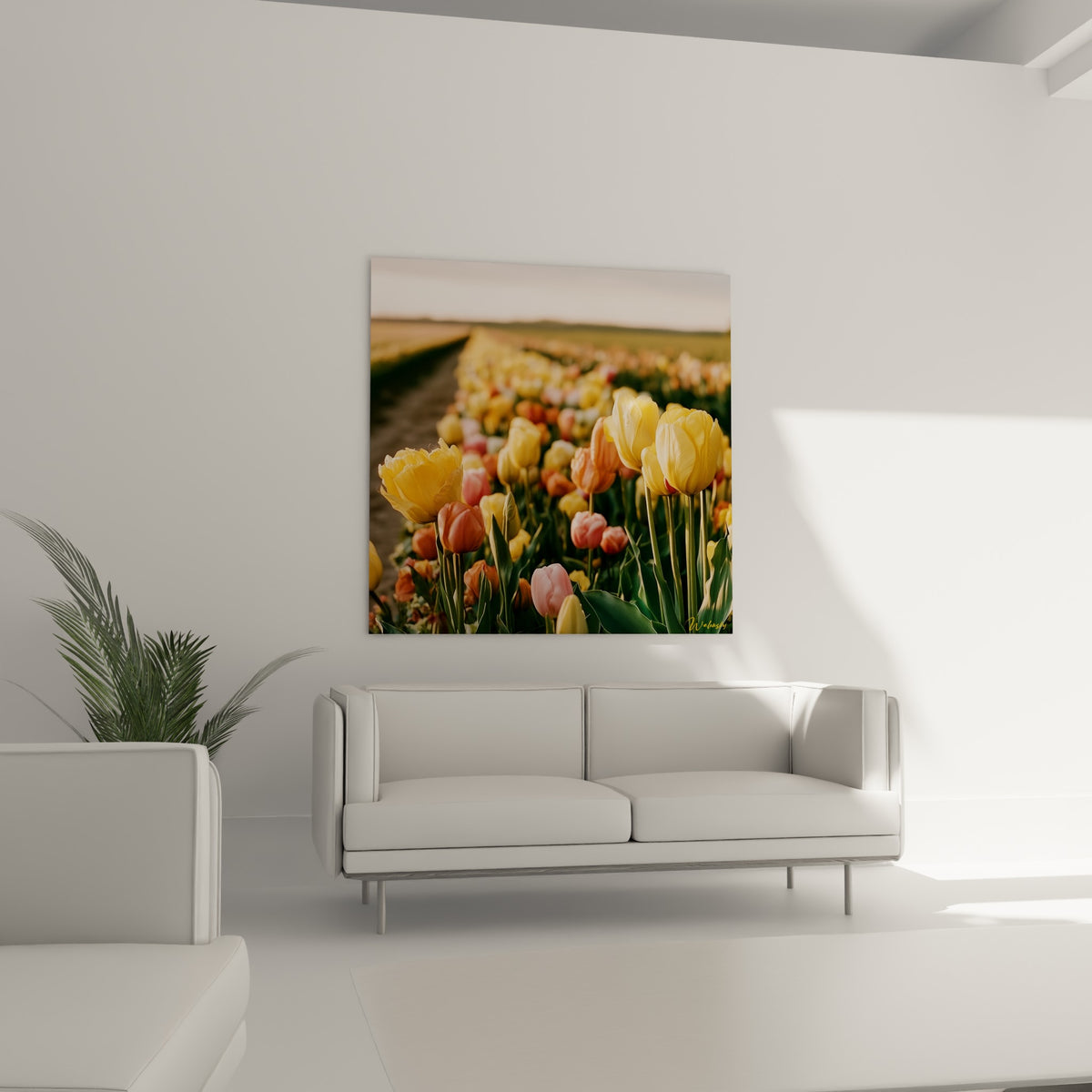 Pétales orangés et jaunes de la Tulipe en rang serré au-dessus d'un canapé dans un salon lumineux