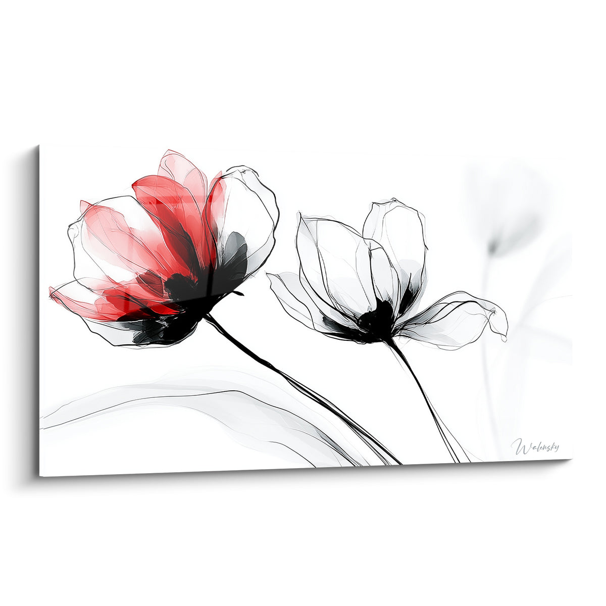 Tulipes rouge et noir filigranées sur fond blanc, tiges courbées, style graphique délicat