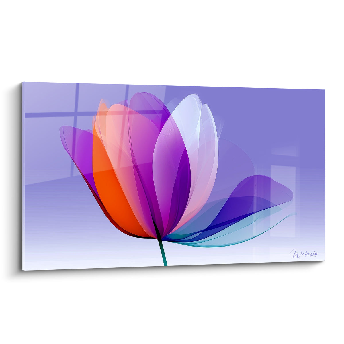 Tulipe translucide aux pétales violets, orange et turquoise sur fond dégradé lavande épuré