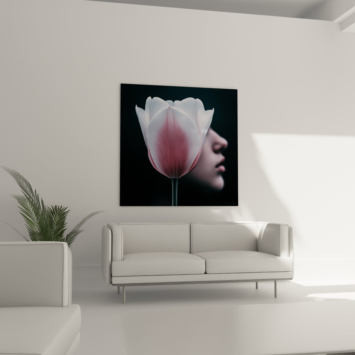 Fleur de tulipe veinée rose et blanche, disposée au-dessus d'un canapé dans un salon lumineux
