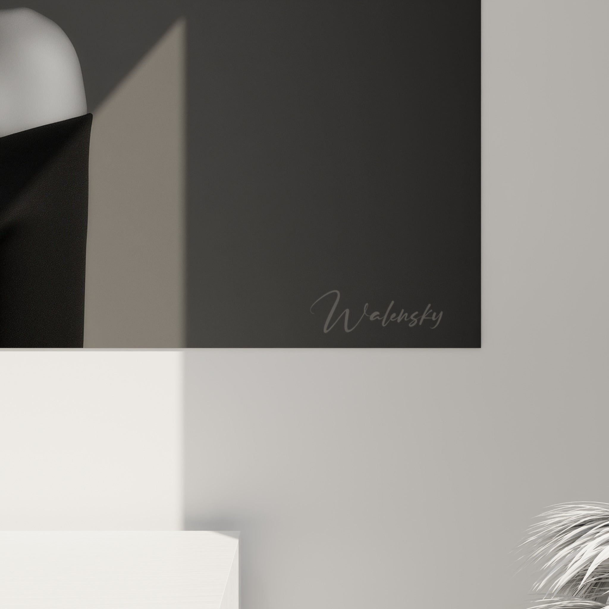 Grain lisse et reflets métalliques du chapeau noir profond, détail rapproché de ce Visage noir et blanc