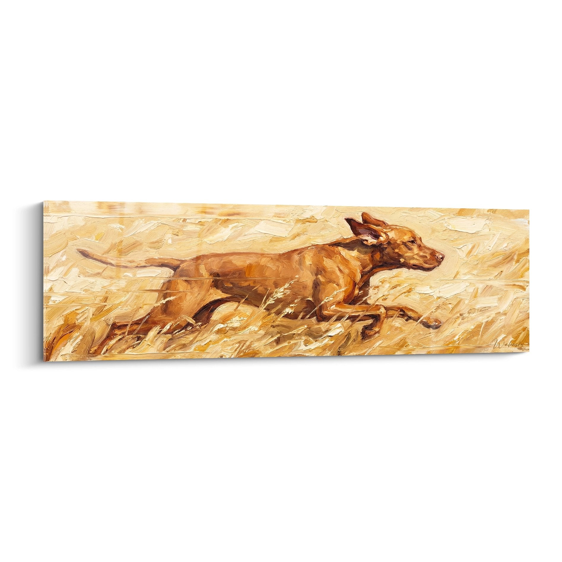 Tableau peinture Vizsla en course dans blés dorés tons chauds cuivrés format panoramique art canin
