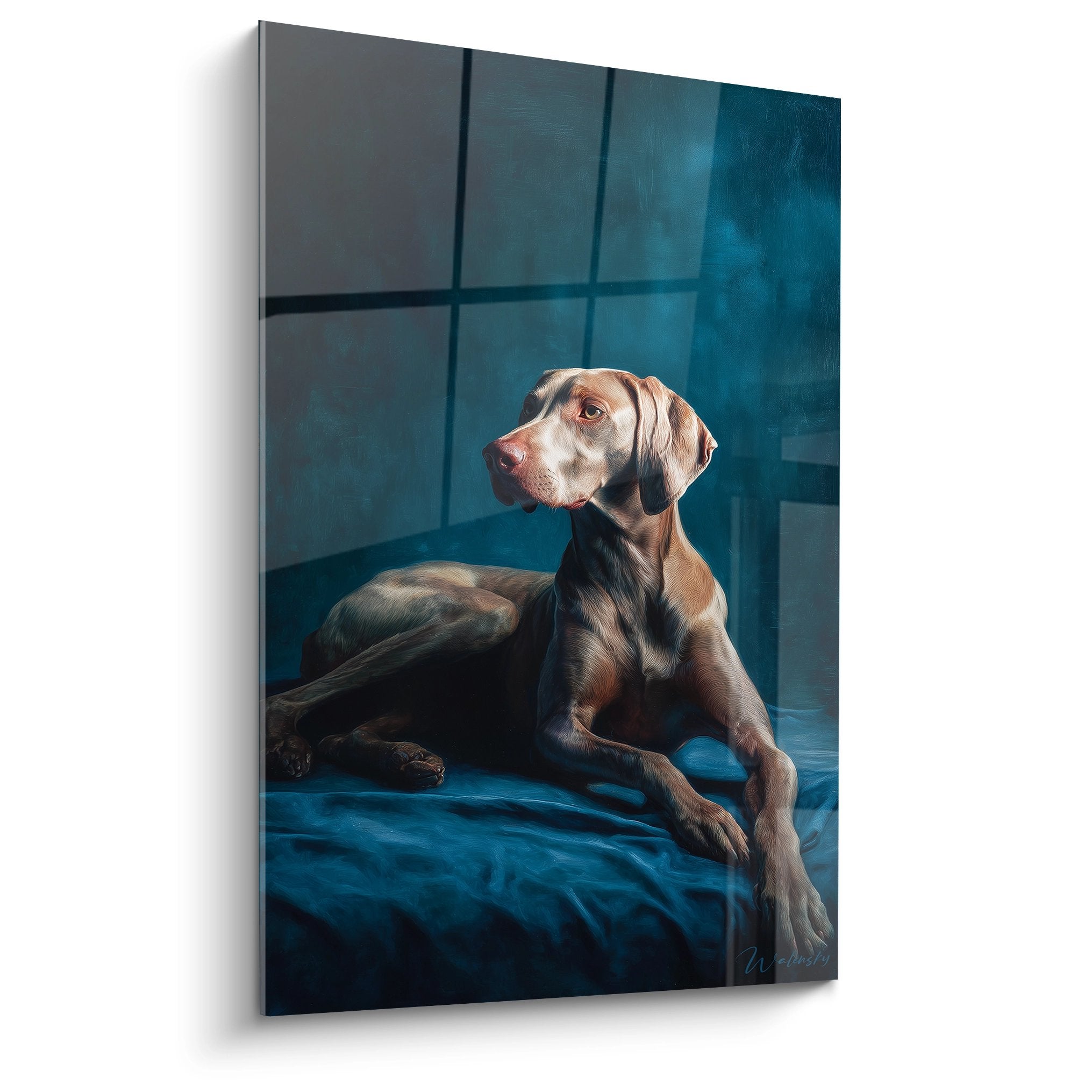 Weimaraner elegent allonge sur lit bleu dans chambre moderne avec carrelage geometrique gris