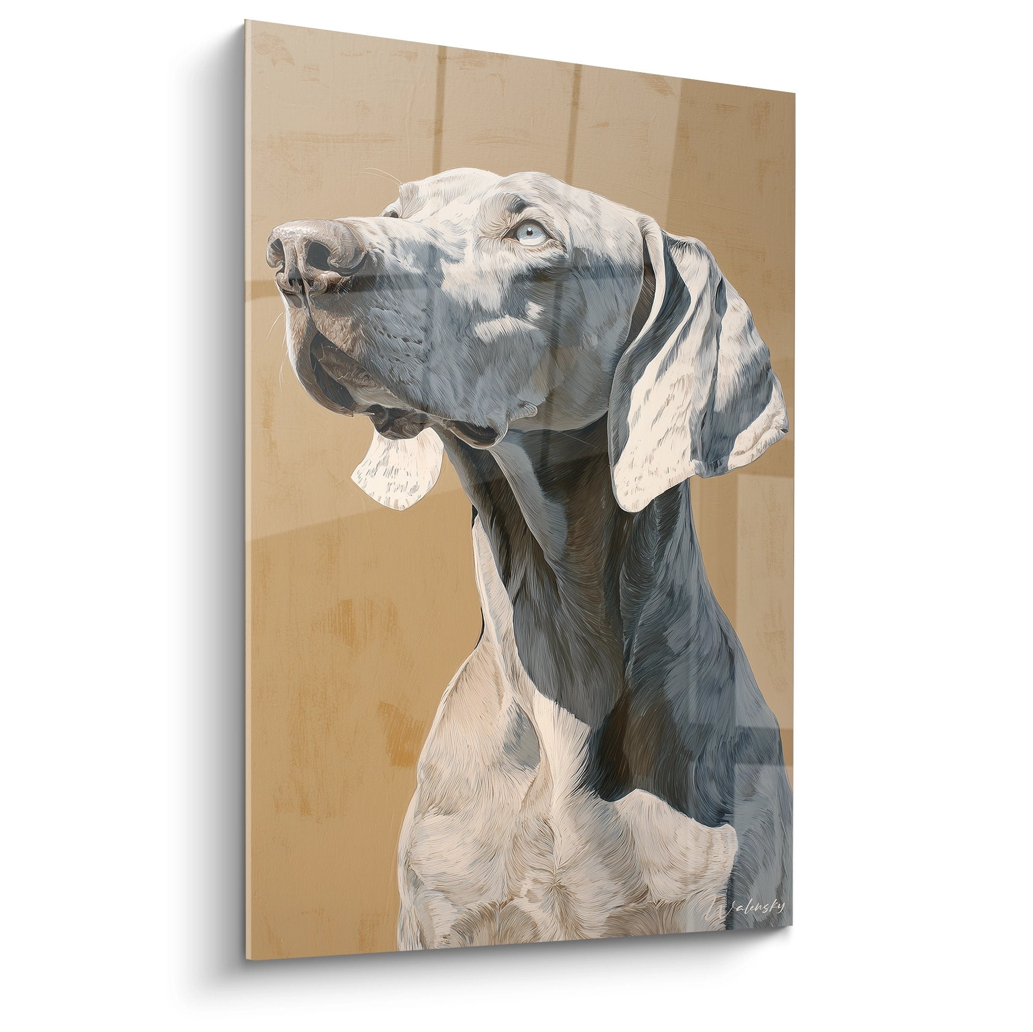 Portrait artistique Weimaraner gris regard noble fond beige tableau mural decoration