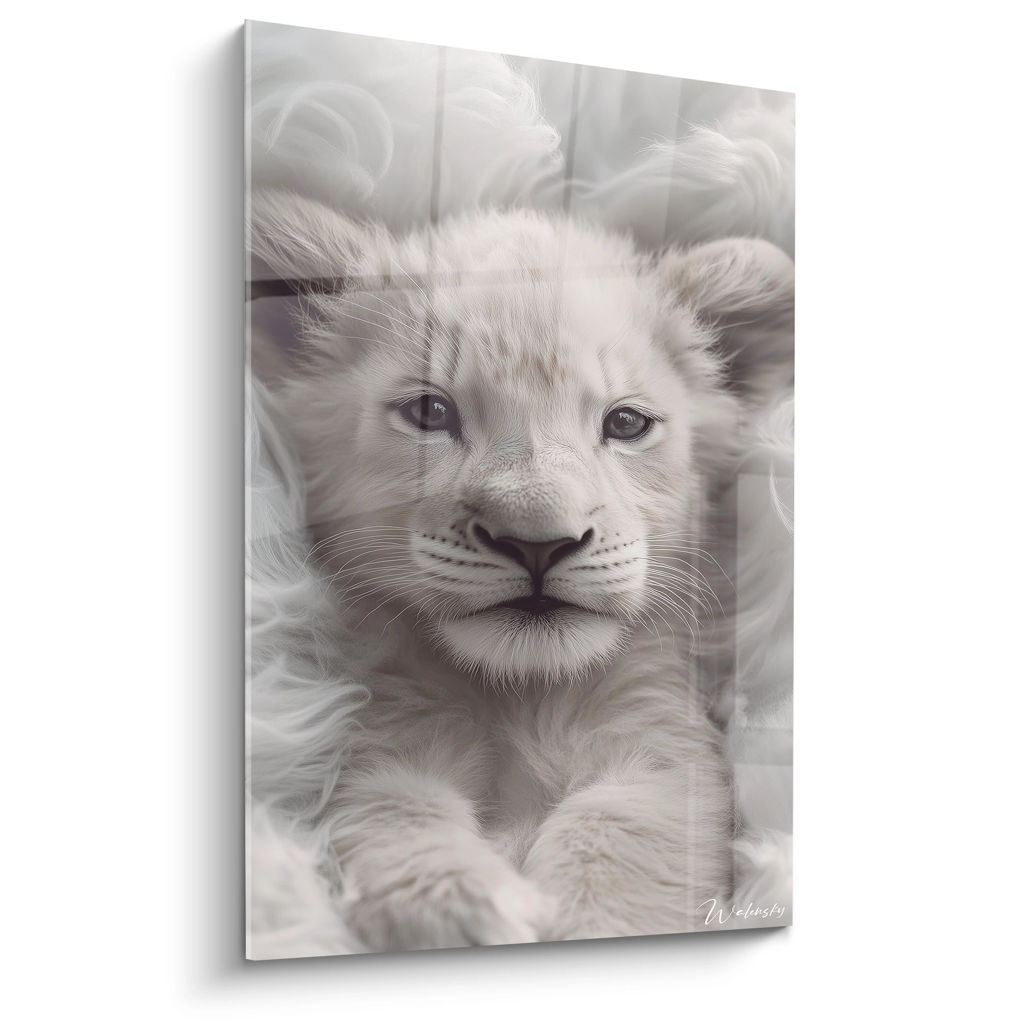 Un tableau lionceau blanc au regard intense, présentant un portrait frontal avec des détails précis des moustaches et des yeux noirs expressifs. La texture duveteuse du pelage blanc crée un contraste saisissant avec le noir du nez et des yeux.