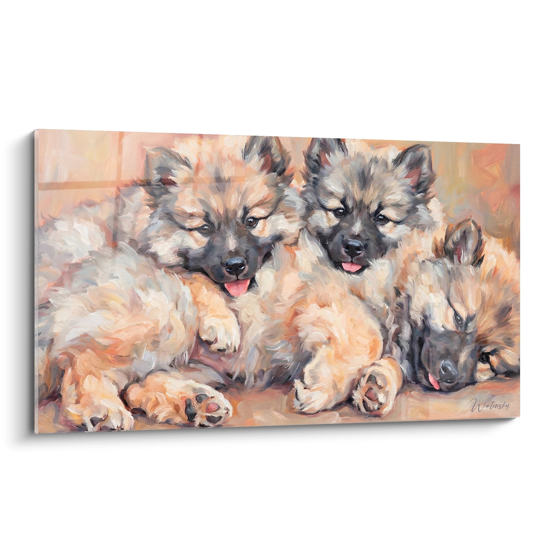 Trio de jeunes Keeshonds aux pelages creme et gris dans des tons chauds oranges - complicite fraternelle