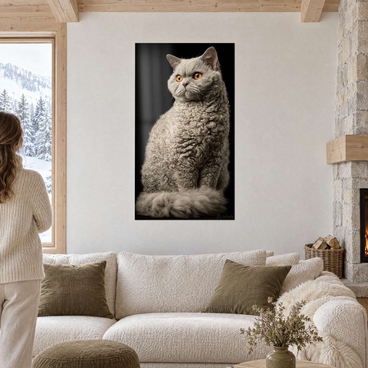 Πίνακας γάτα Selkirk Rex σε χρώμα περλέ γκρι με κεχριμπαρένια μάτια σε μαύρο φόντο, πάνω από καναπέ σε φωτεινό σαλόνι