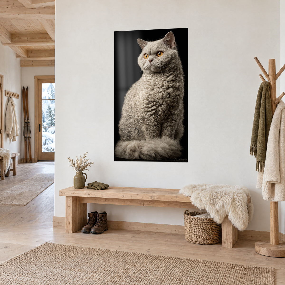 Tableau félin à fourrure bouclée gris cendré et regard orangé, accroché près d'un banc en bois clair d'un chalet