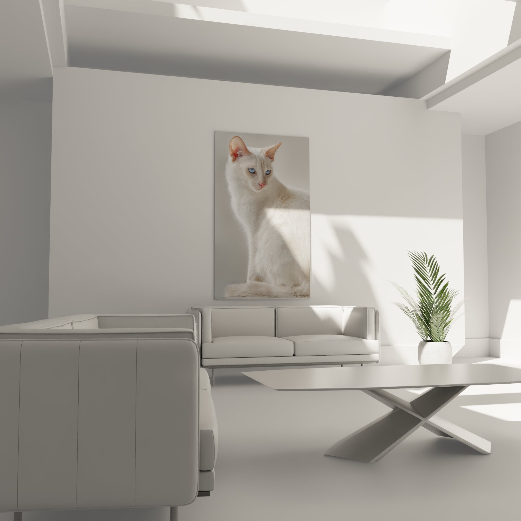 Gros plan portrait chat Balinais blanc montrant détails pelage soyeux et regard bleu perçant intense