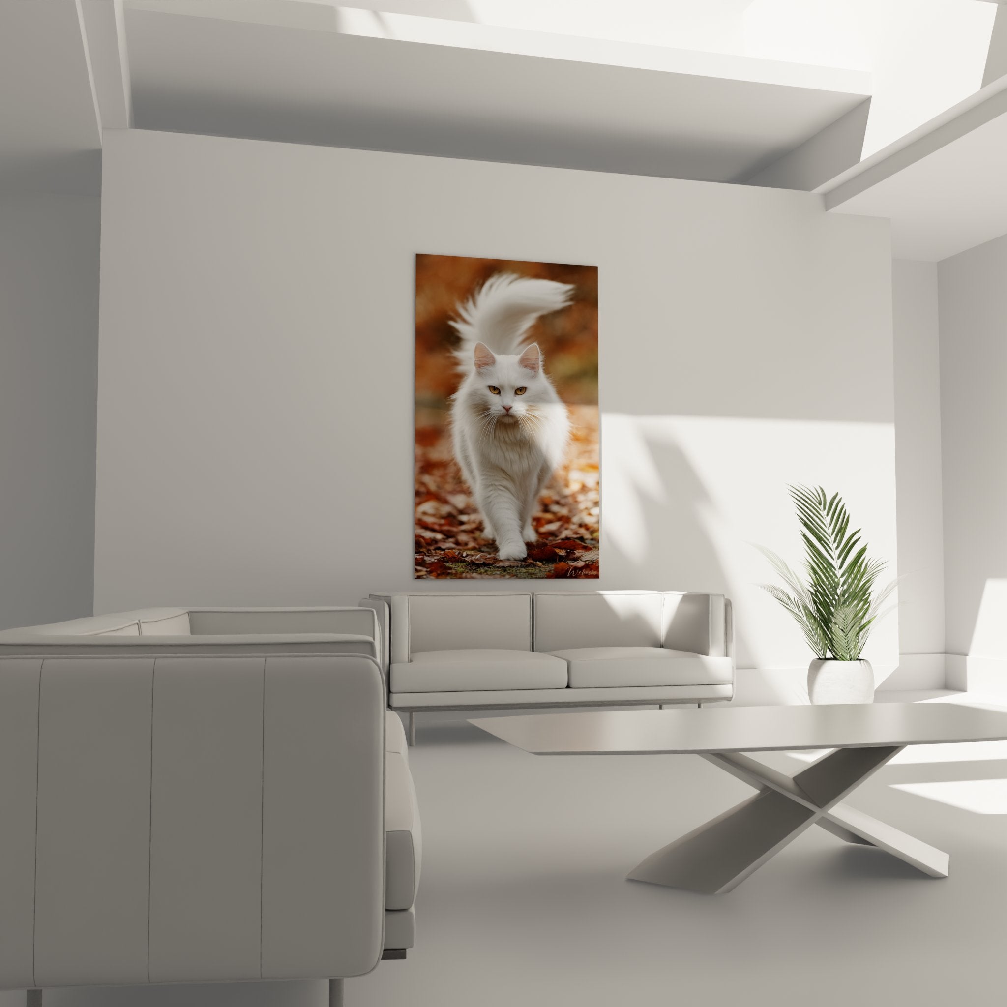 Detail tableau chat siberien blanc pelage soyeux yeux ambre photographie artistique haute qualite