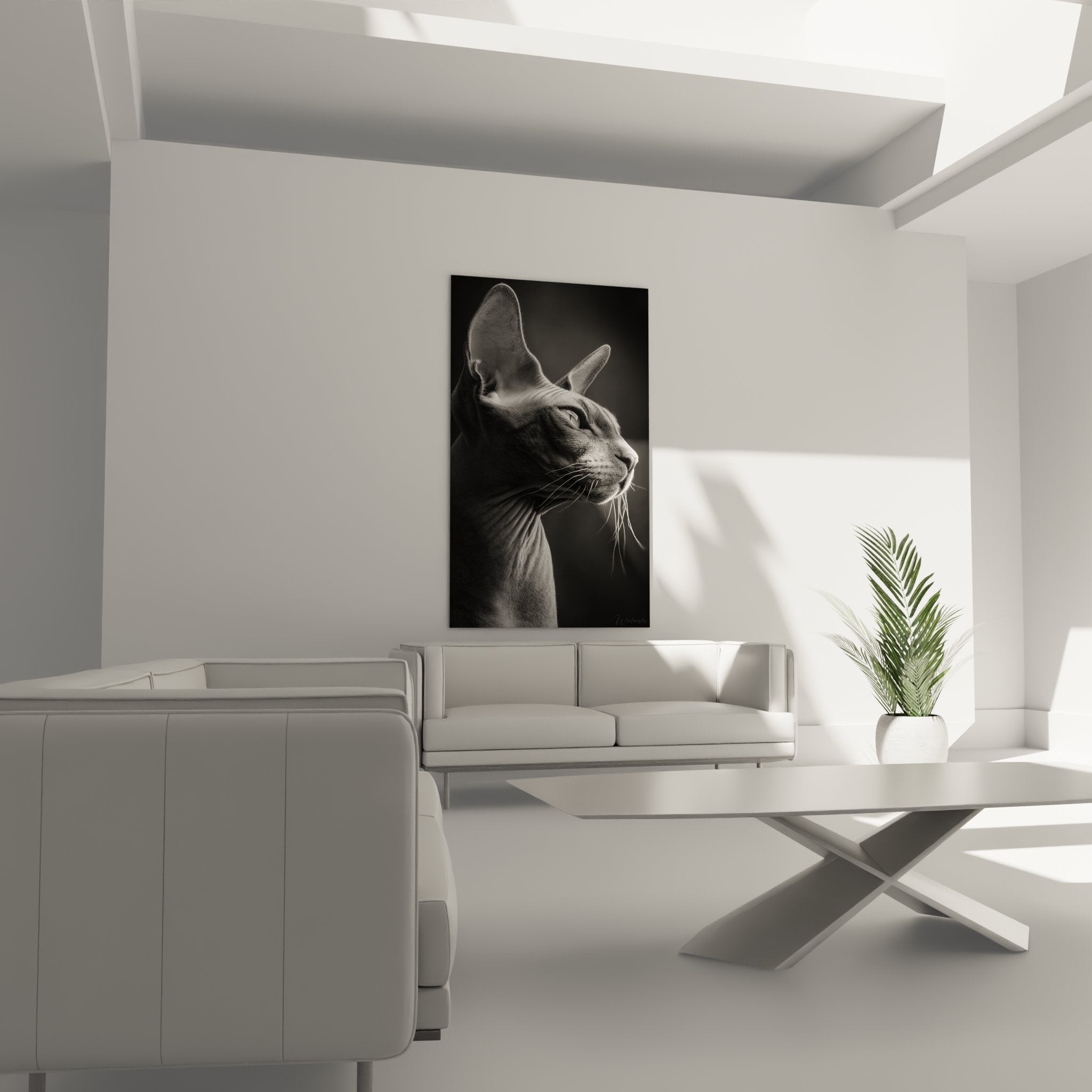 Primo piano dettaglio quadro gatto Sphynx, texture pelle rugosa ed espressione serena in bianco e nero