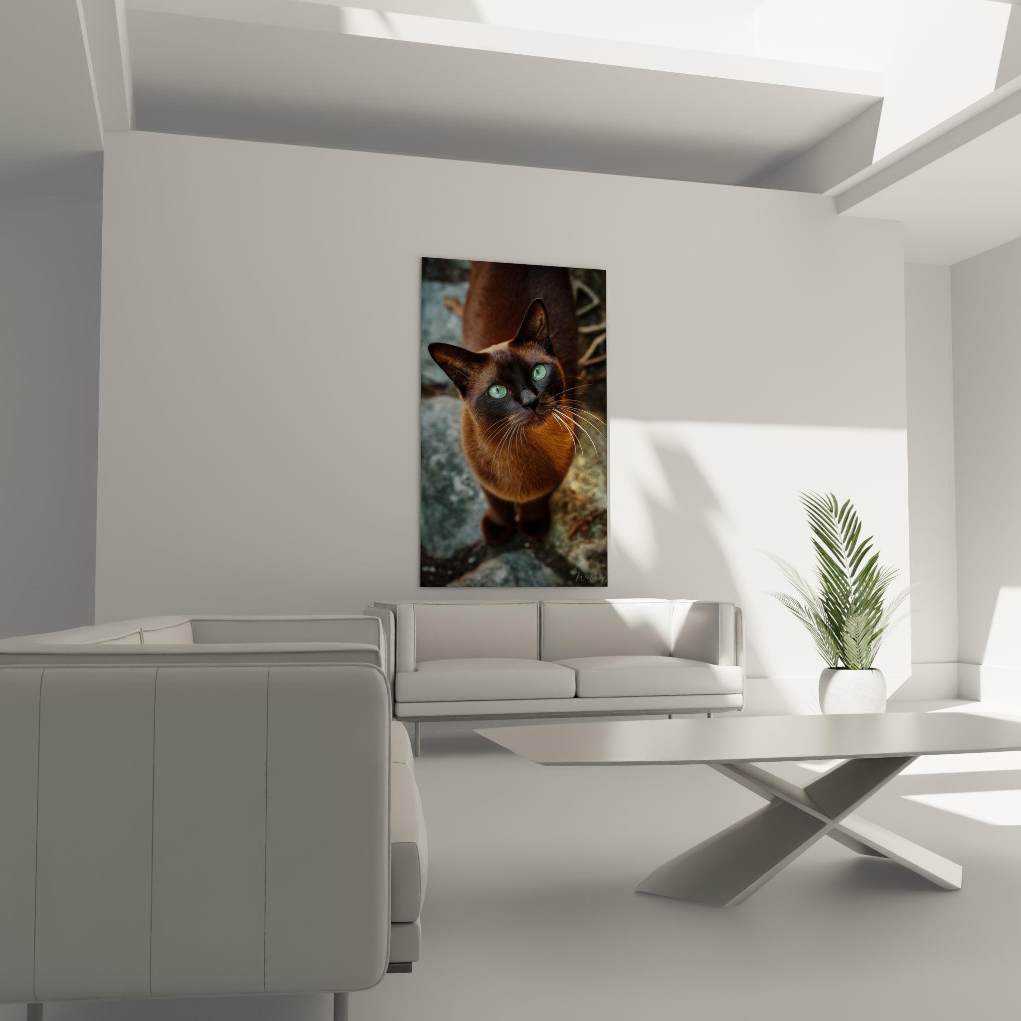 Gros plan sur les yeux verts hypnotisants et le pelage brun doré du chat Burmese du tableau