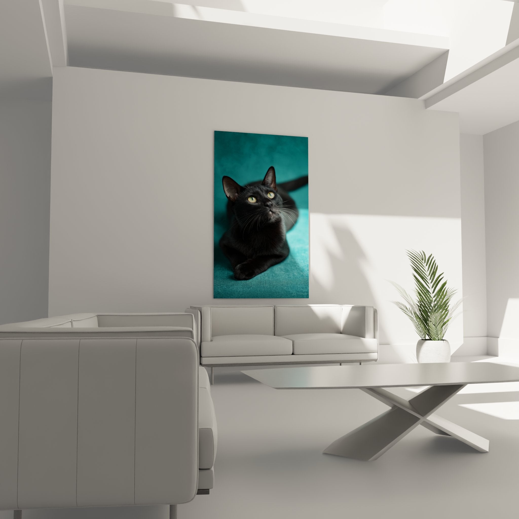 Gros plan portrait chat Bombay noir aux yeux dorés, détails pelage lustré et regard perçant sur fond turquoise