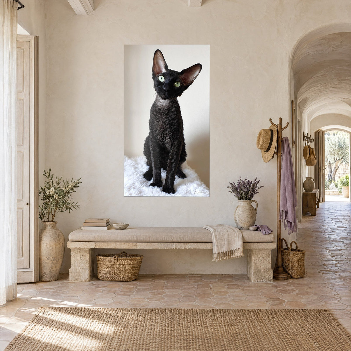 Quadro felino color ebano dal pelo riccio, sguardo verde di traverso, seduto su un plaid avorio, parete color crema, panca di pietra e arco