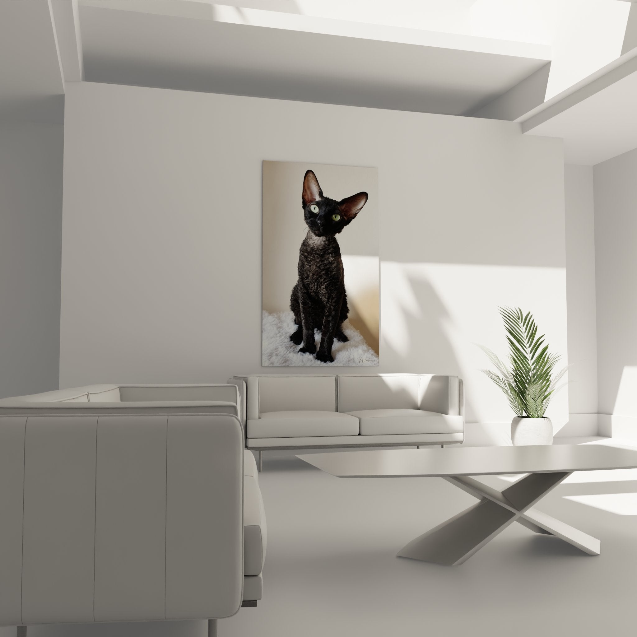 Primo piano ritratto gatto Cornish Rex nero che mostra i dettagli del mantello riccio e gli occhi verde smeraldo espressivi