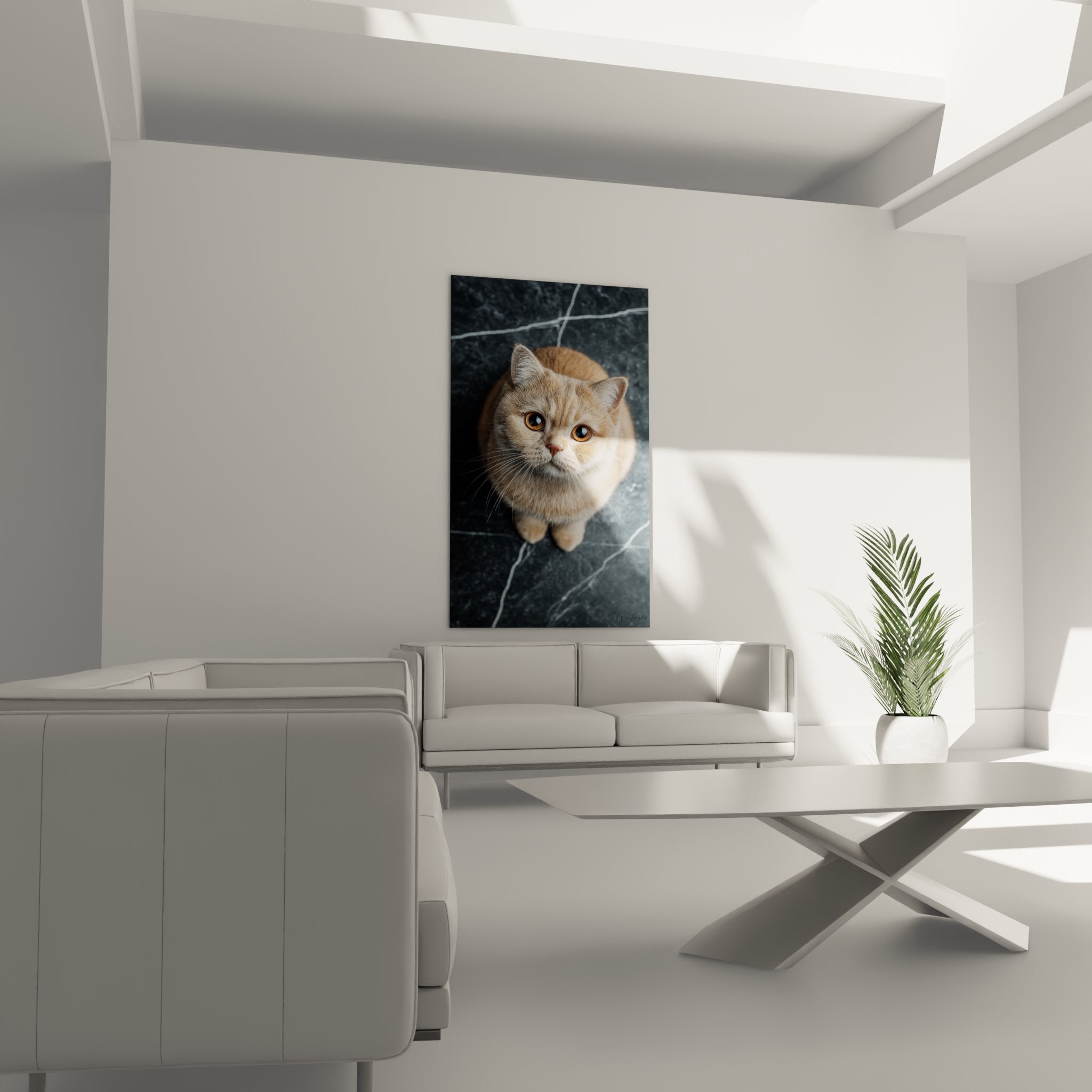 Primo piano ritratto gatto British Shorthair crema con occhi ambra, dettagli del mantello ed espressione tenera