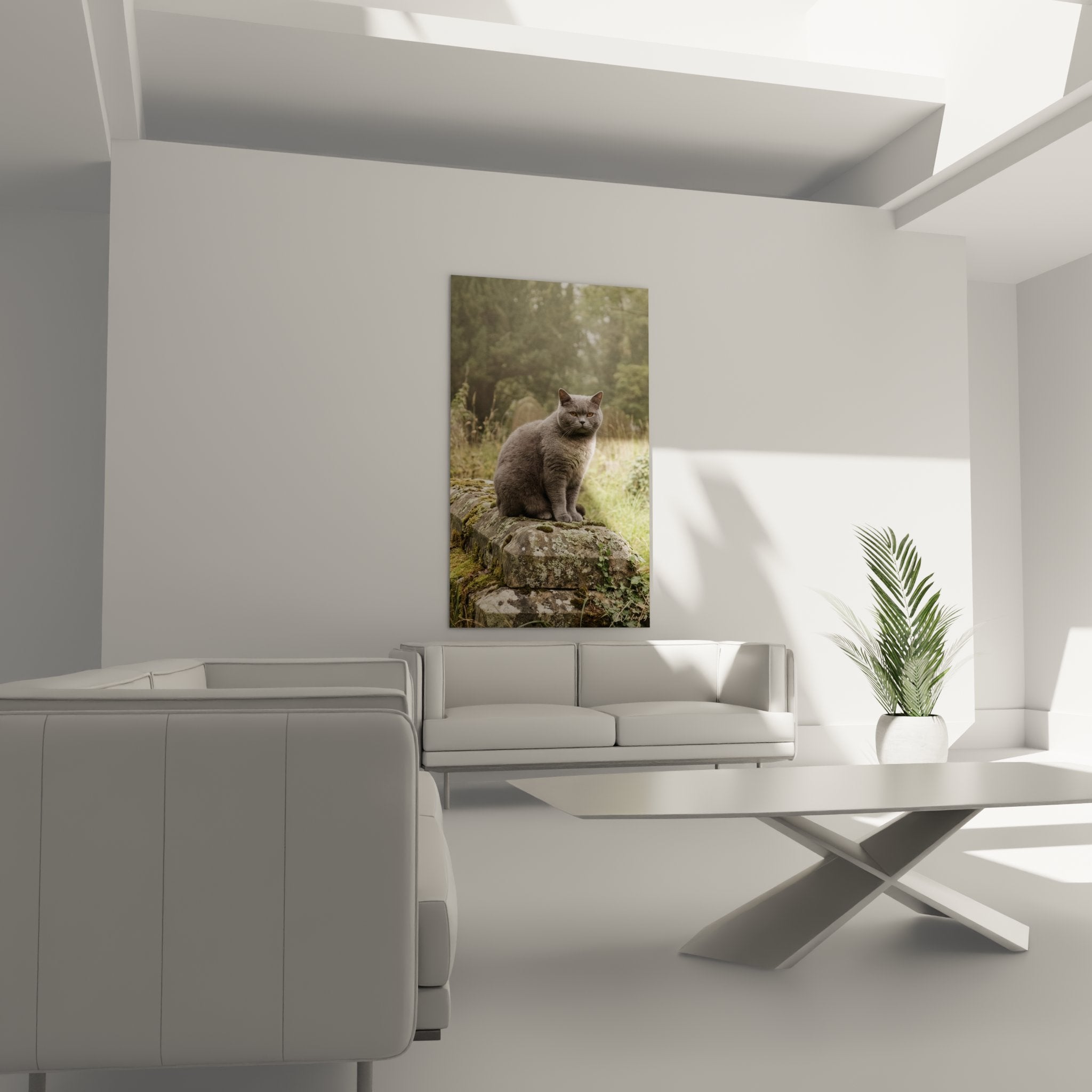 Détail tableau chat European Shorthair montrant pelage gris dense et regard perçant caractéristique race