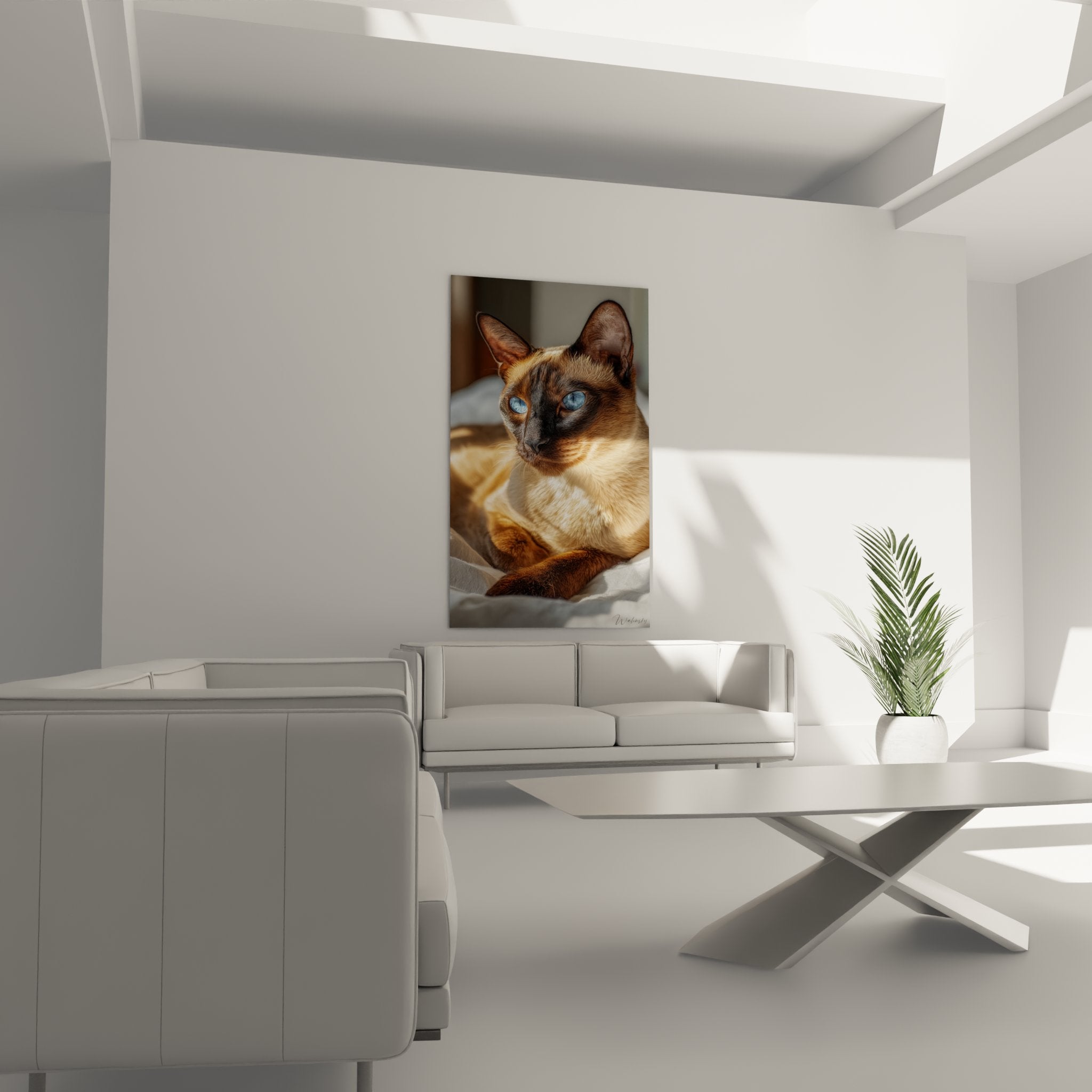 Primo piano occhi azzurri penetranti gatto Tonkinese quadro arte murale premium decorazione interiore design