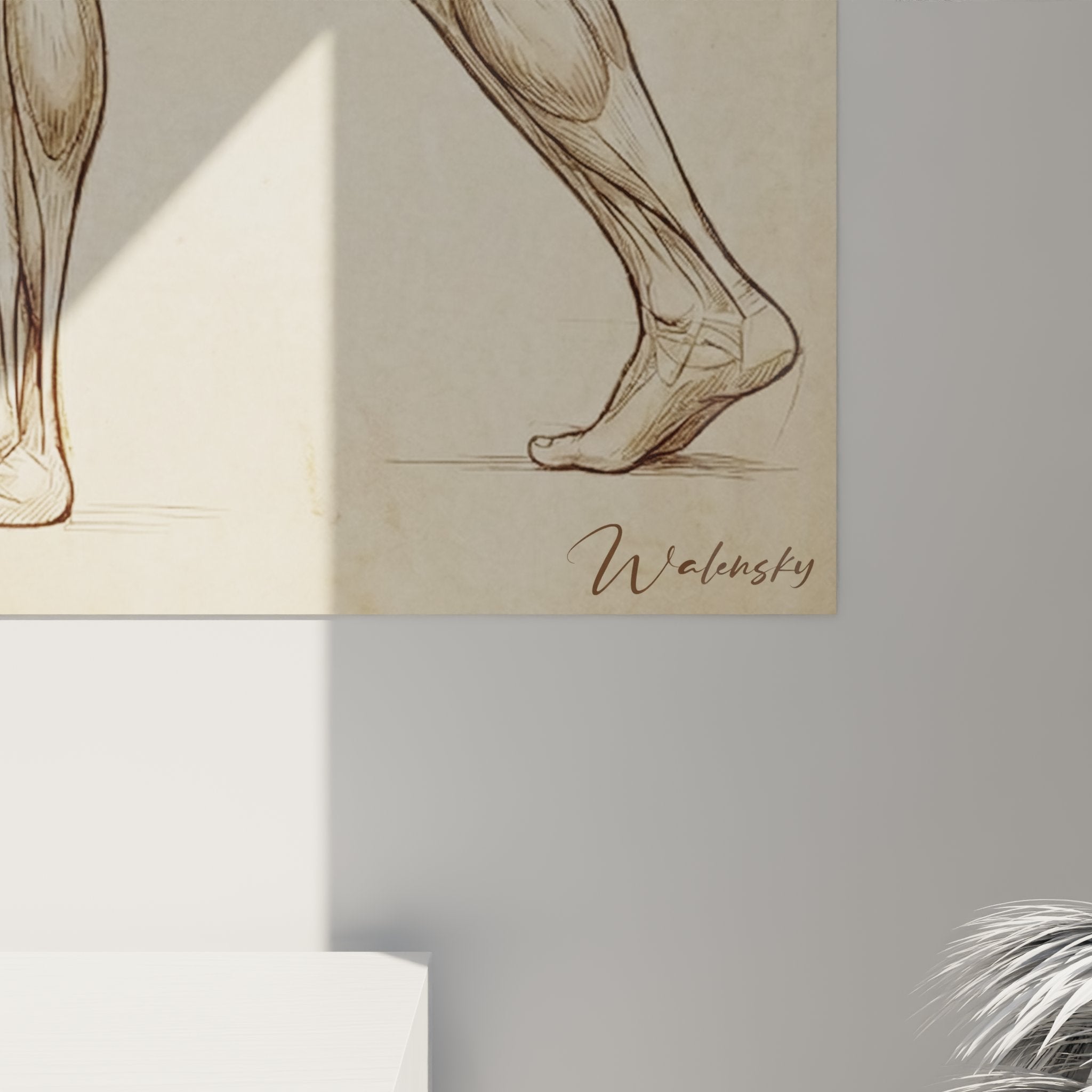 Vue ensemble tableau mural combattant MMA anatomique, decoration arts martiaux style vintage