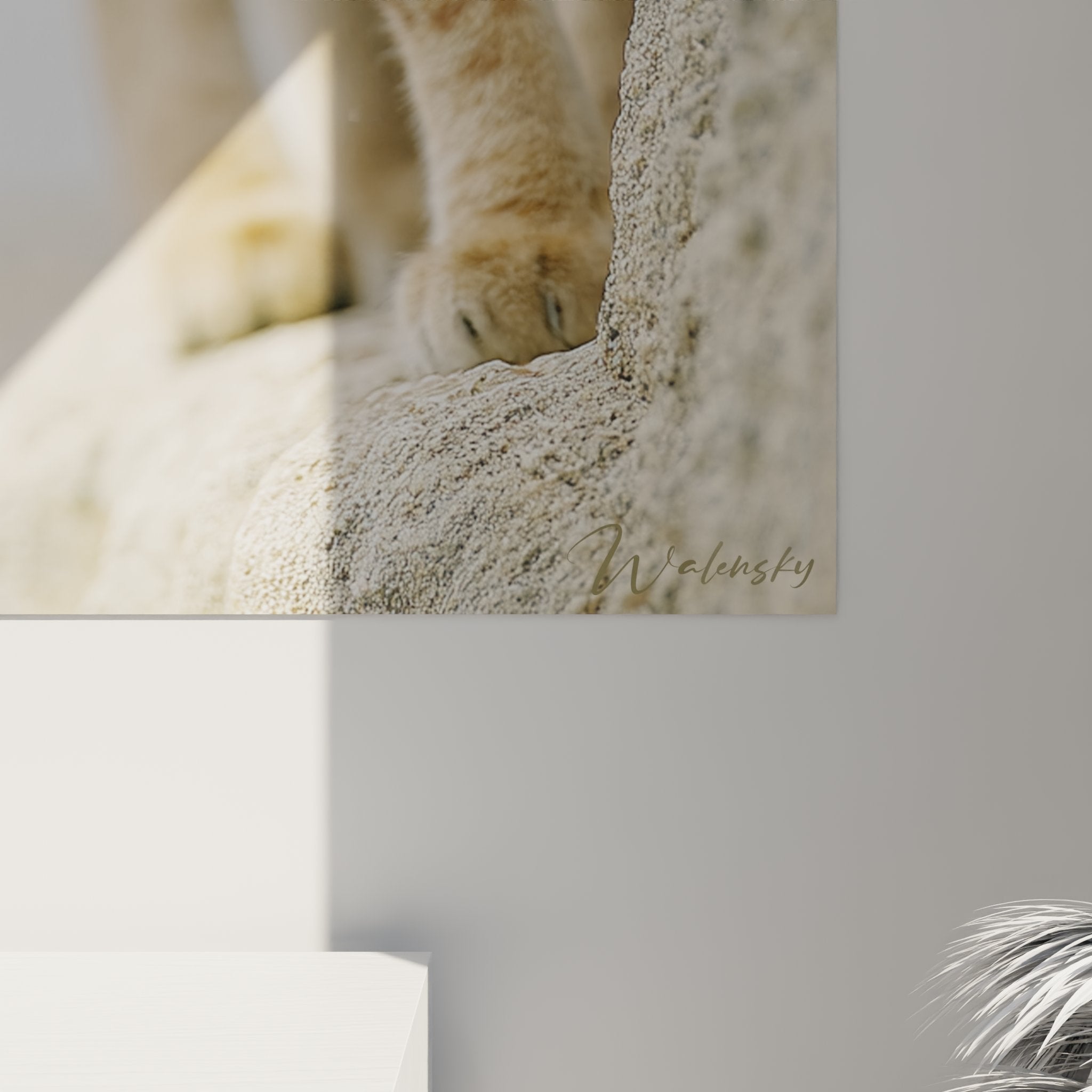 Vue d'ensemble tableau décoratif chat Sokoke tigré, art mural félin pour intérieur contemporain