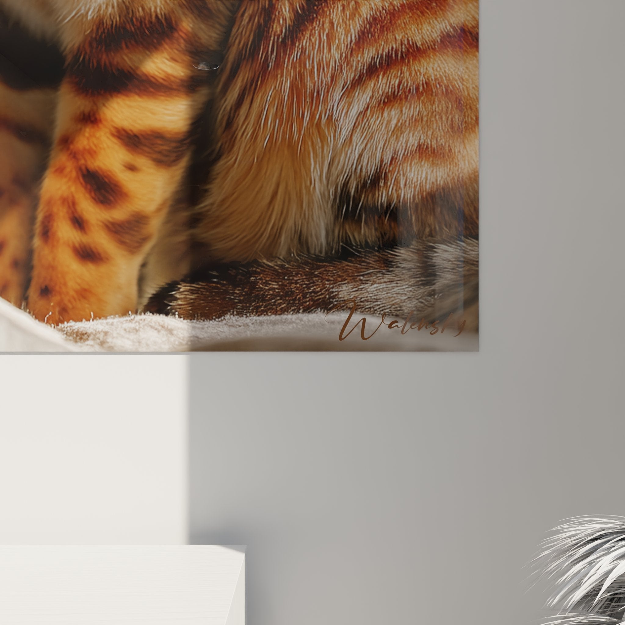 Overview of Sokoke cat wall art in contemporary living room, showcasing elegant feline wall decor