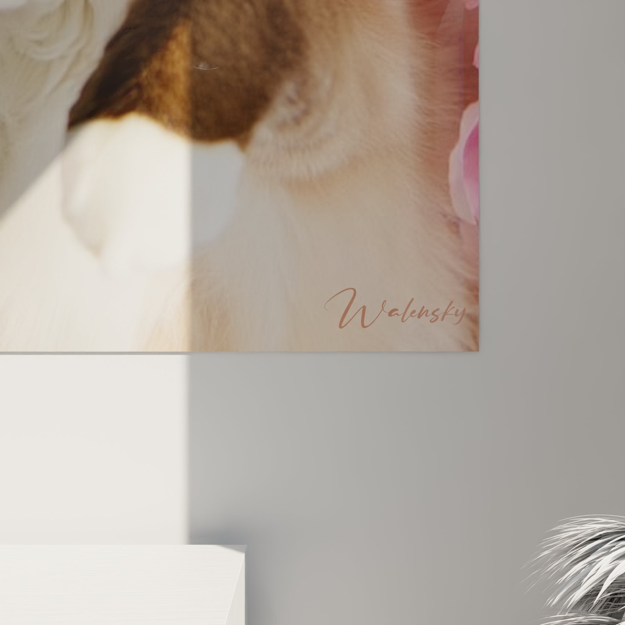 Vista prospettica quadro murale gatto Birmano peonie rosa decorazione interni moderno elegante