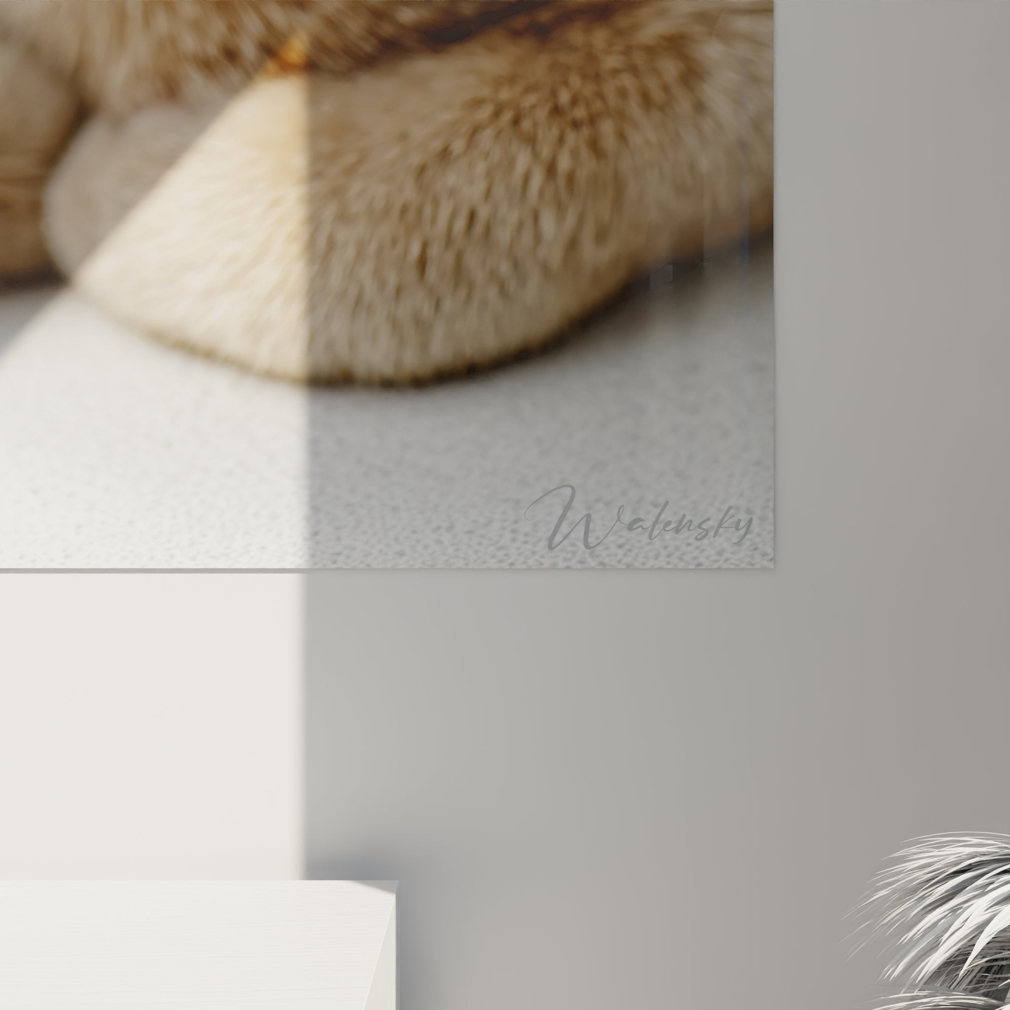 Vue ensemble tableau mural chat Singapura, cadre moderne, decoration interieure art animalier