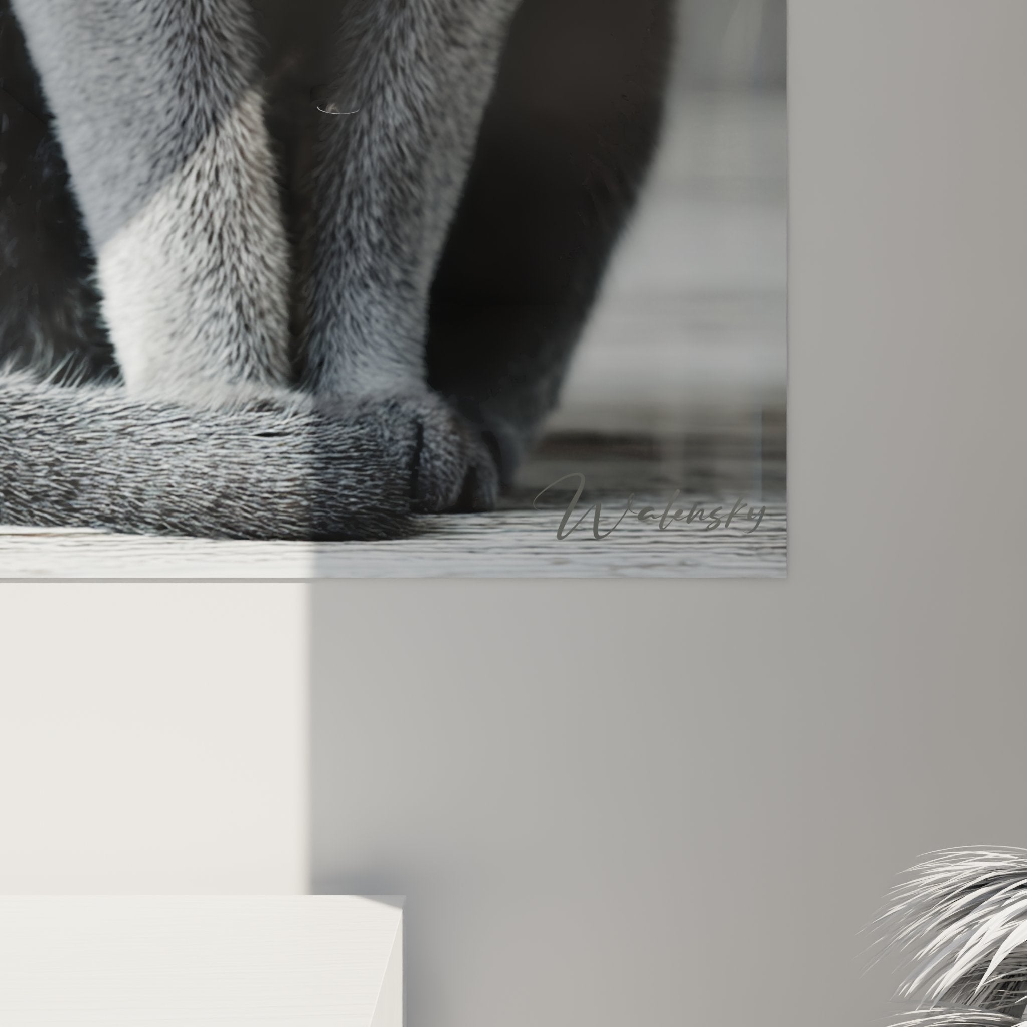 Vue d'ensemble tableau mural chat Burmilla dans salon moderne, décoration murale élégante féline