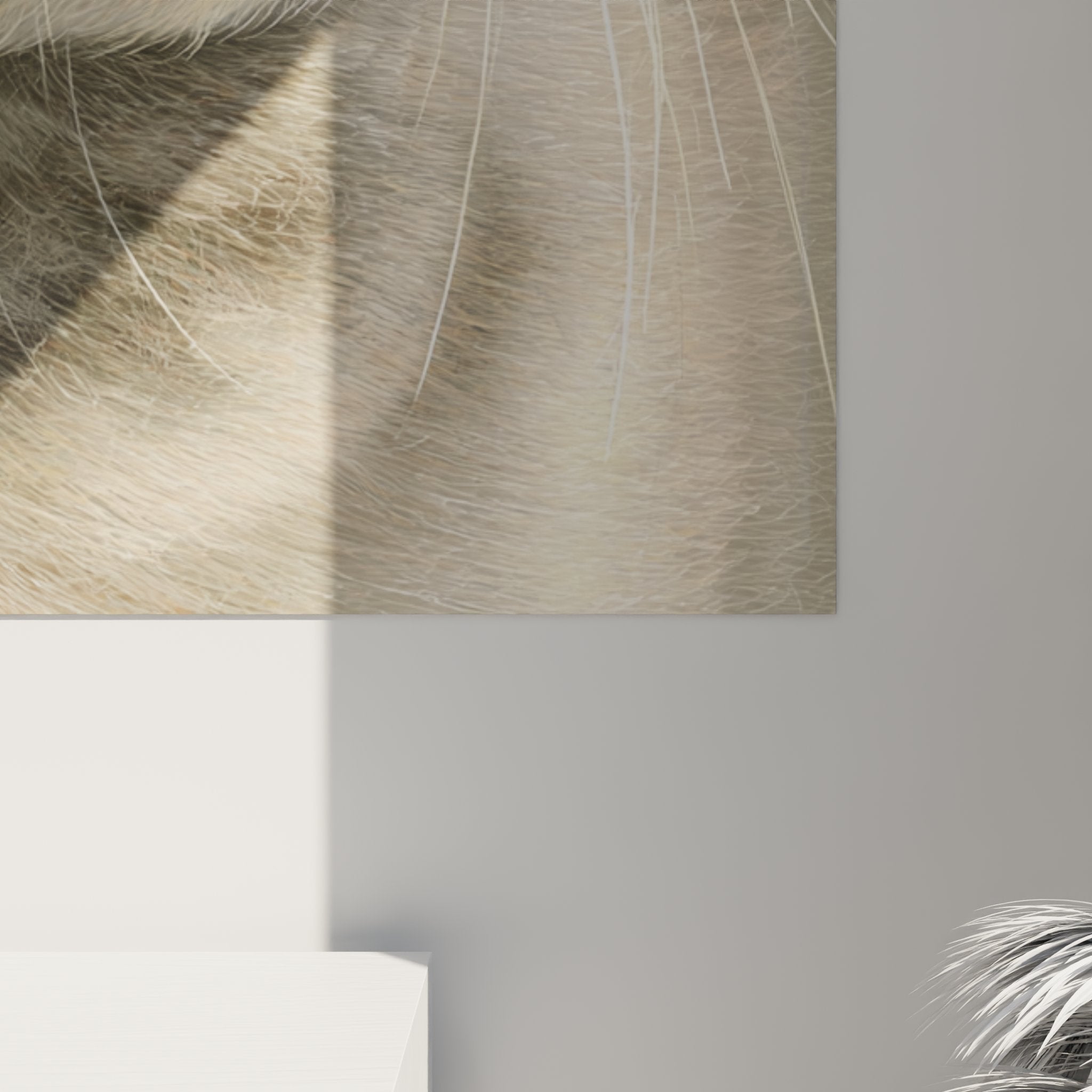 Overview of Scottish Fold cat wall art in contemporary living room, decorative animal artwork