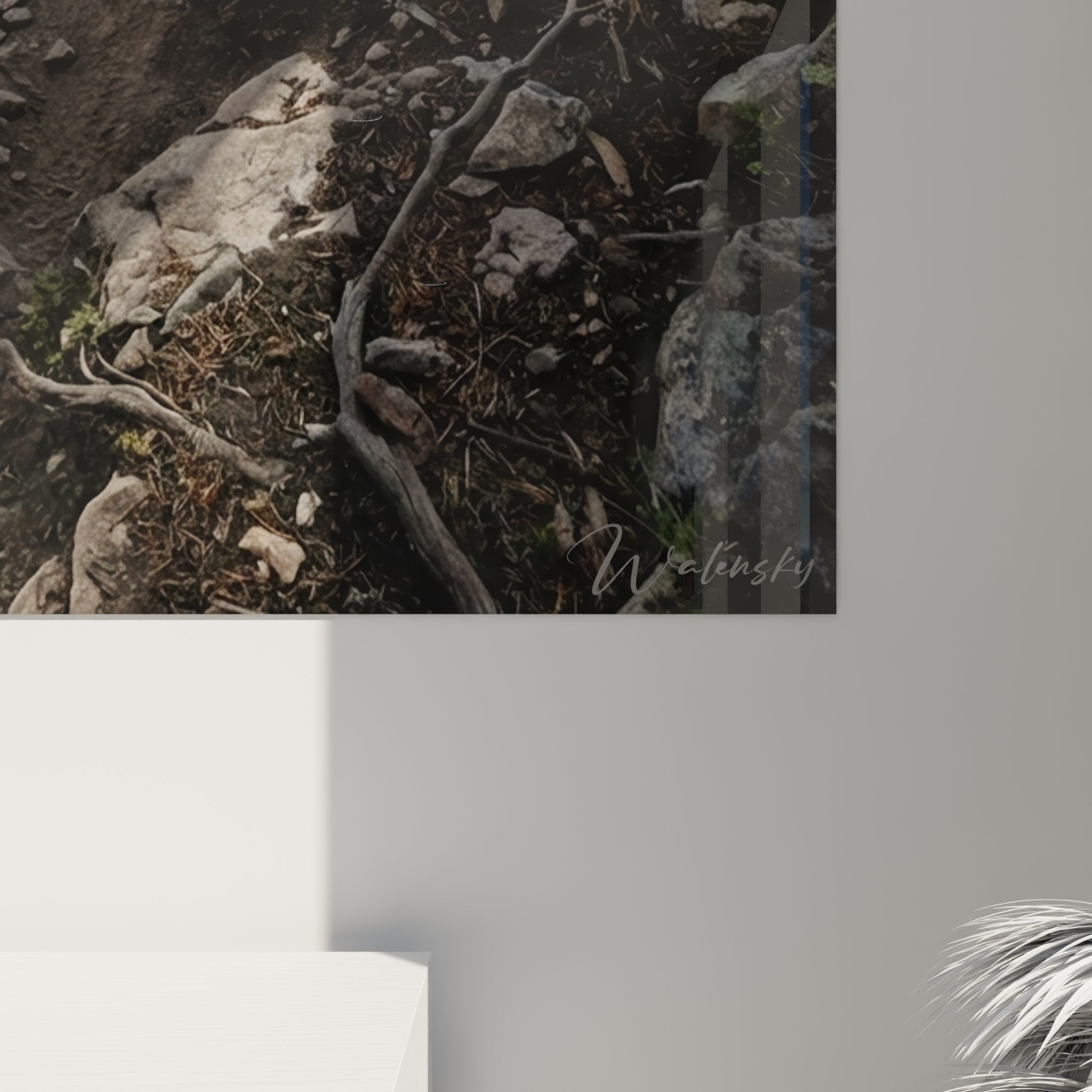 Vue ensemble tableau VTT descente montagne décoration murale sport extrême aventure nature sauvage