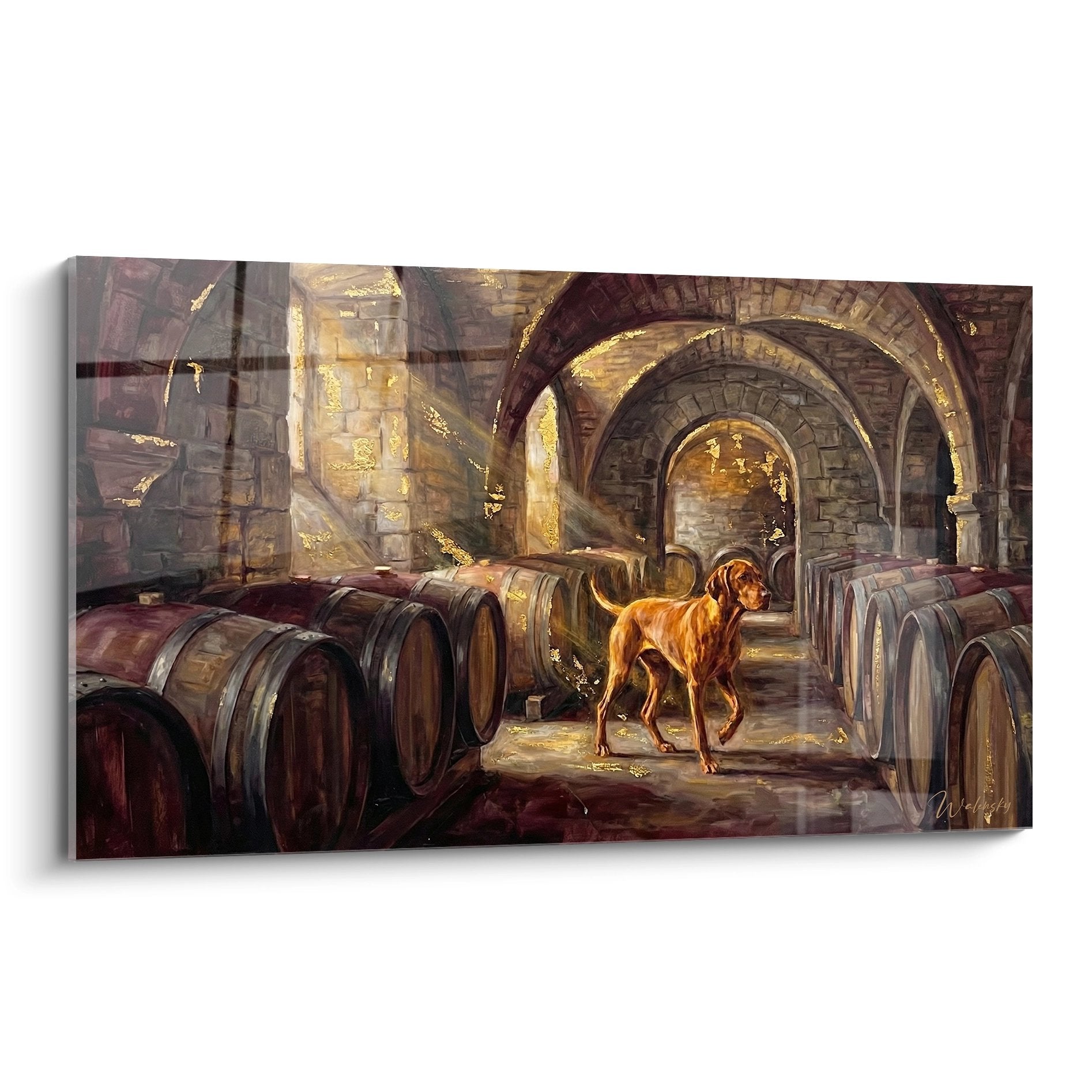 Vizsla au pelage roux dans cave voûtée aux tonneaux de vin, lumière dorée sur pierres anciennes