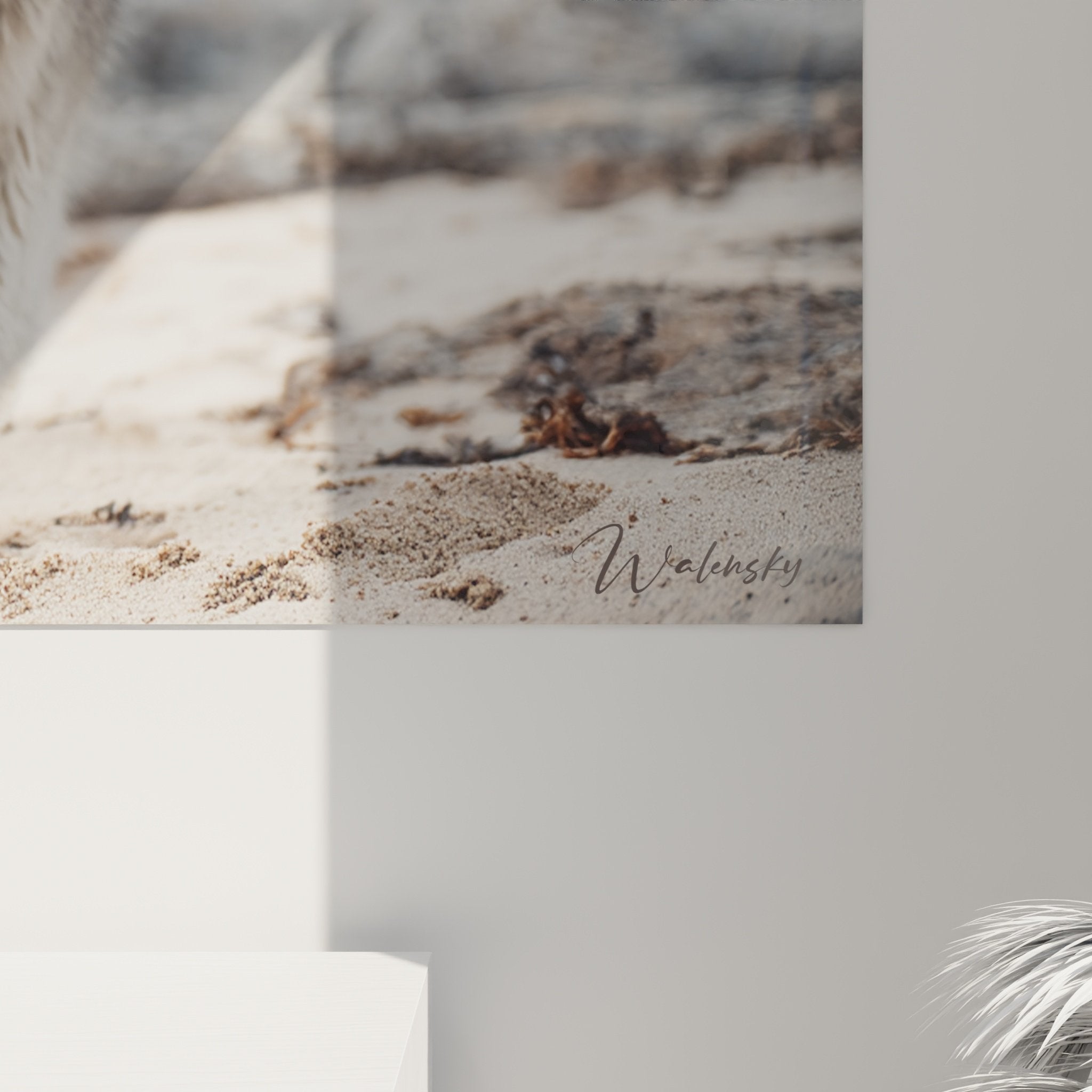 Vue ensemble tableau malamute alaska courant plage sauvage rochers gris sable beige ocean bleu cadre mural