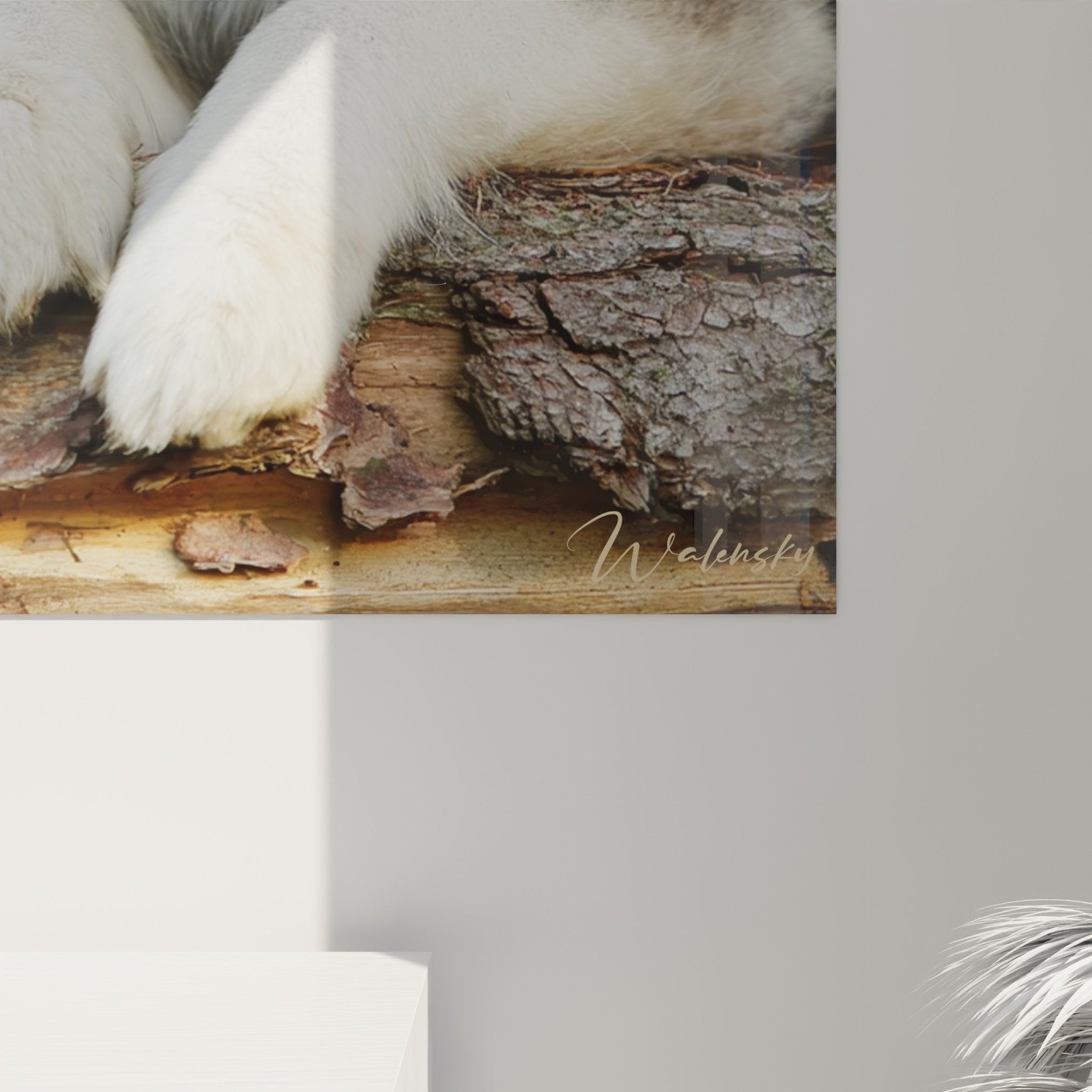 Vue d'ensemble tableau Malamute Alaska sur tronc - Composition portrait chien nordique pelage gris et crème